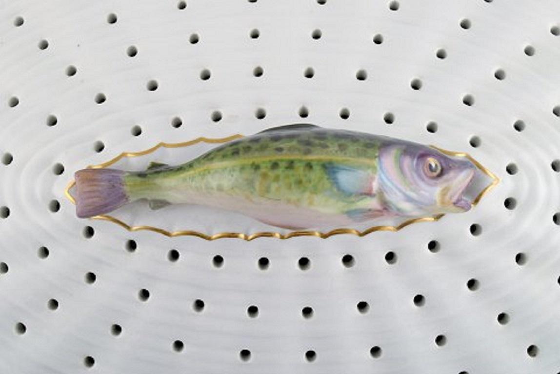 Large Royal Copenhagen Fauna Danica fish grate in hand-painted porcelain with fish and gold decoration. Model number 19/3522. 
Dated 1958.
Measures: 36 x 24.5 x 10 cm.
In excellent condition.
Stamped.