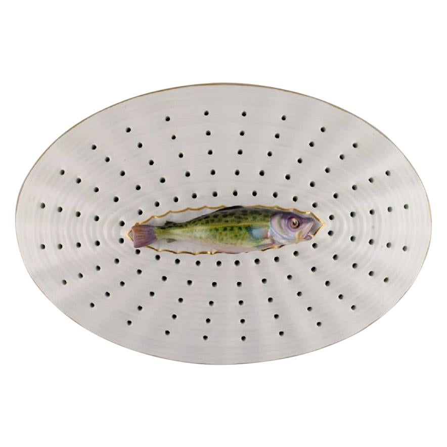 Large Royal Copenhagen Fauna Danica Fish Grate in Hand-Painted Porcelain For Sale
