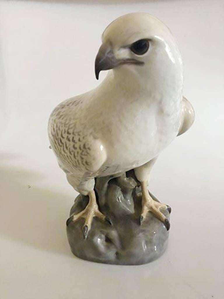 Large Royal Copenhagen figurine of falcon No. 2178. Measures about 35 cm H (13 25/32 in). 1st Quality, From circa 1889-1922. The falcon has a glued on chip at the end of the tale feather. Otherwise in nice condition.