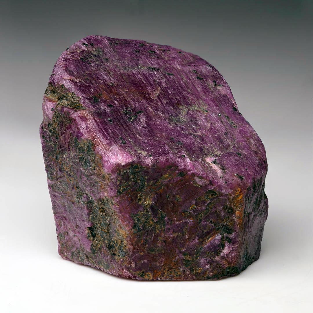 Discover the raw beauty and regal allure of this single ruby crystal featuring a natural termination and one end-cut side and sourced directly from the legendary gem-bearing soils of India. This substantial specimen showcases deep crimson-to-magenta