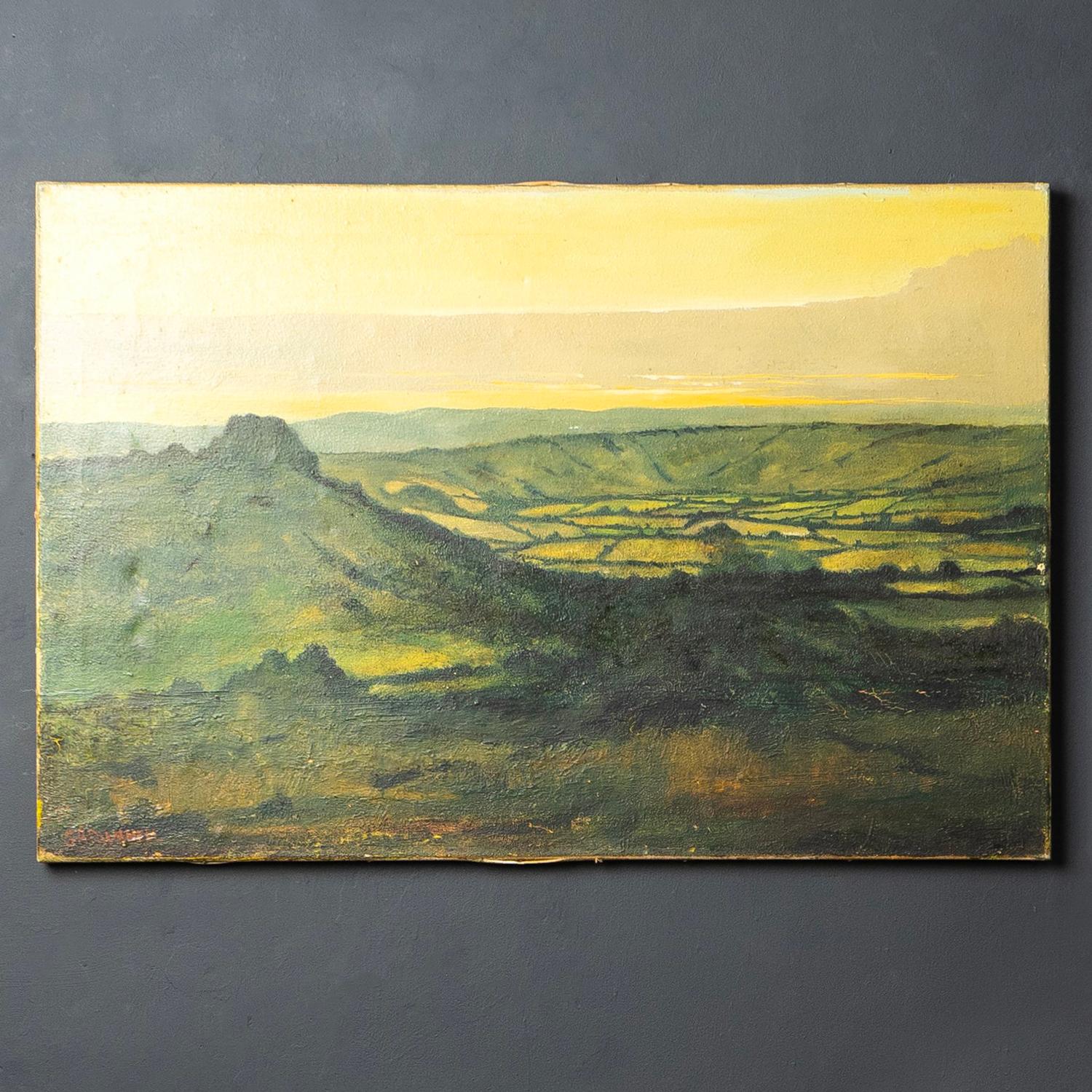 Large Rural Landscape, Antique Original Oil on Canvas Painting, 1900s For Sale 4