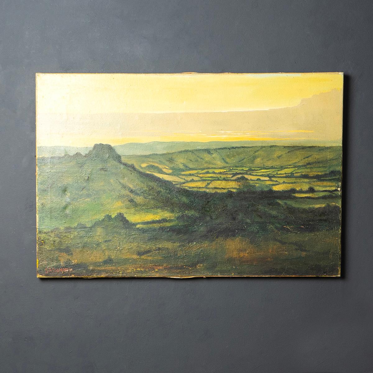 Antique Original Oil Painting Depicting a Hilly Countryside Scene

A dramatic landscape, instantly made me think of the Brecon Beacons.

A patchwork of green fields in a valley by a mountainous outcrop, executed in a familiar, slightly naive style