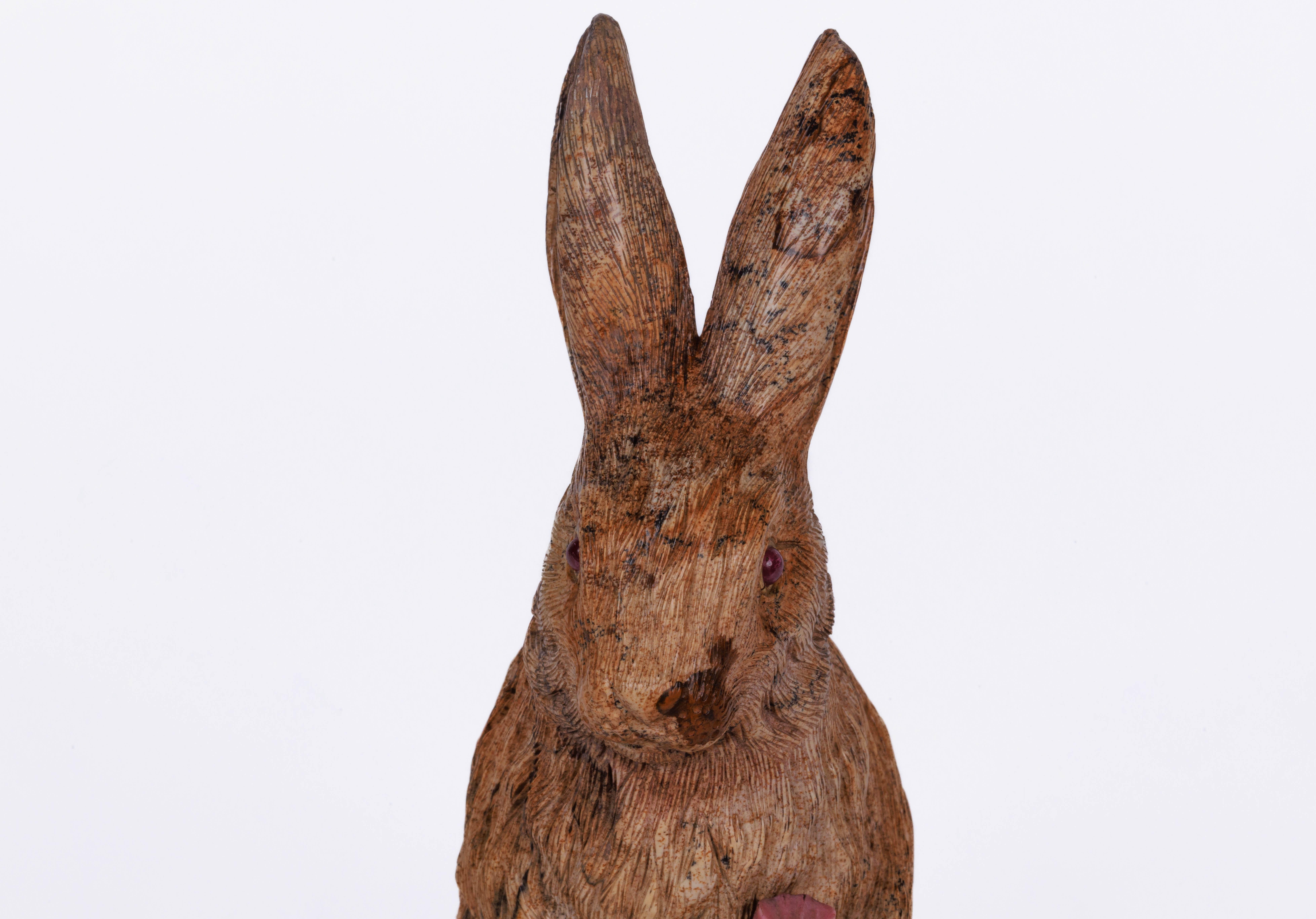 jasper the bunny