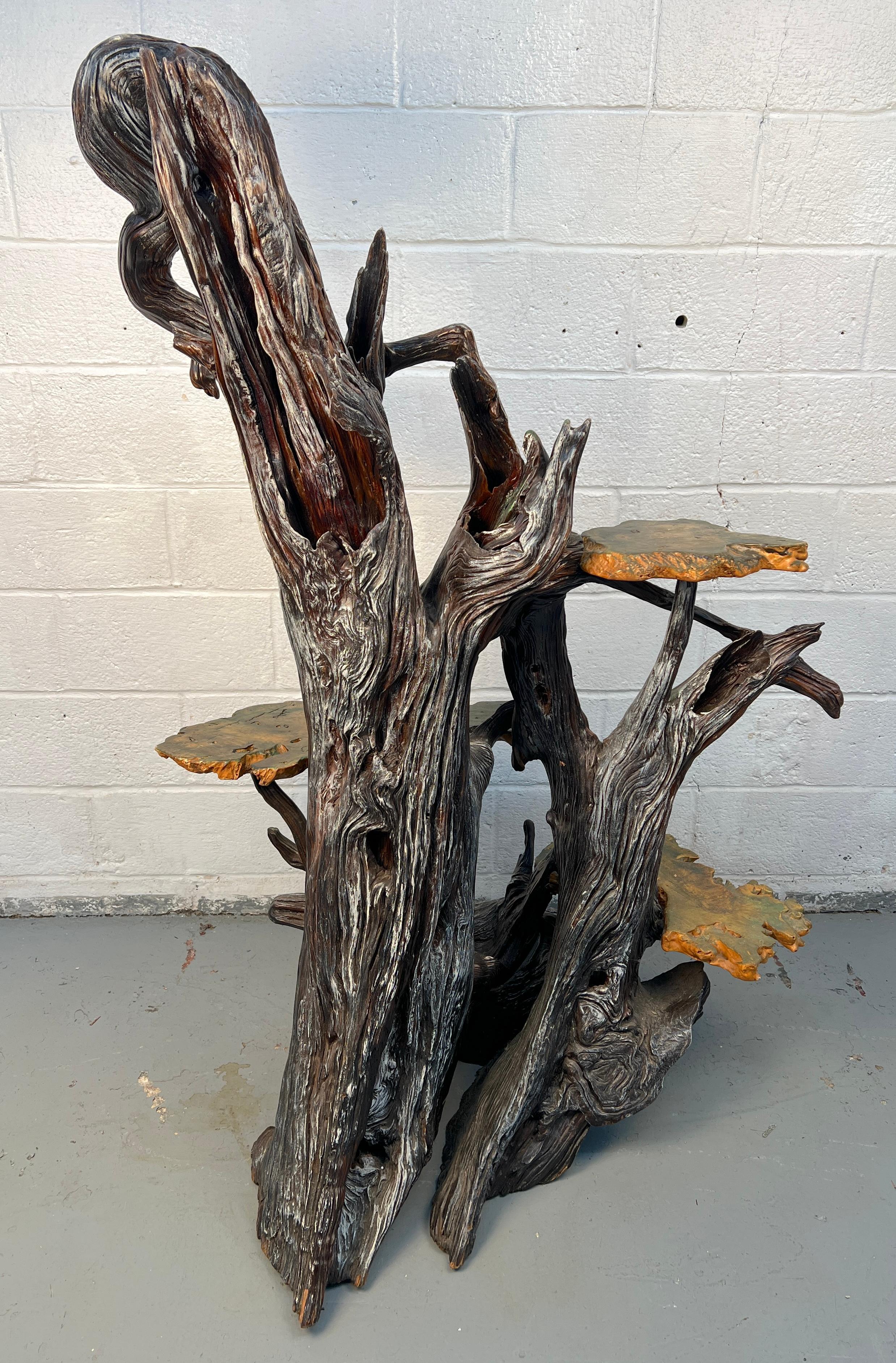 Large Rustic Live Edge Plant Stand For Sale 3