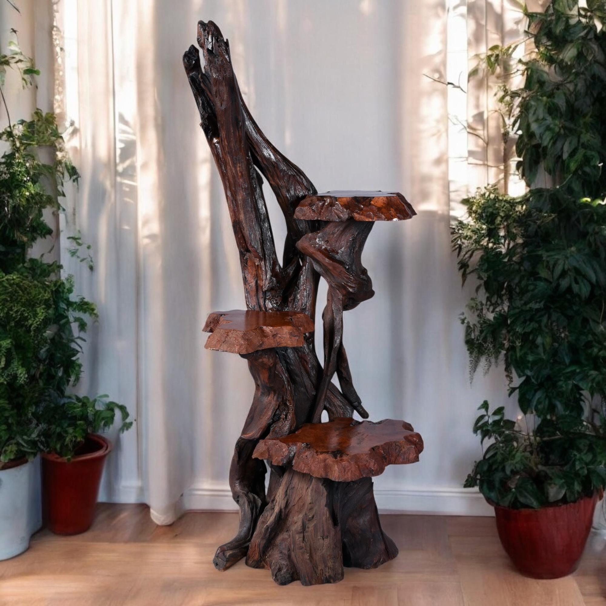 Organic Modern Large Rustic Live Edge Tree Trunk Plant Stand or Art Pedestal For Sale