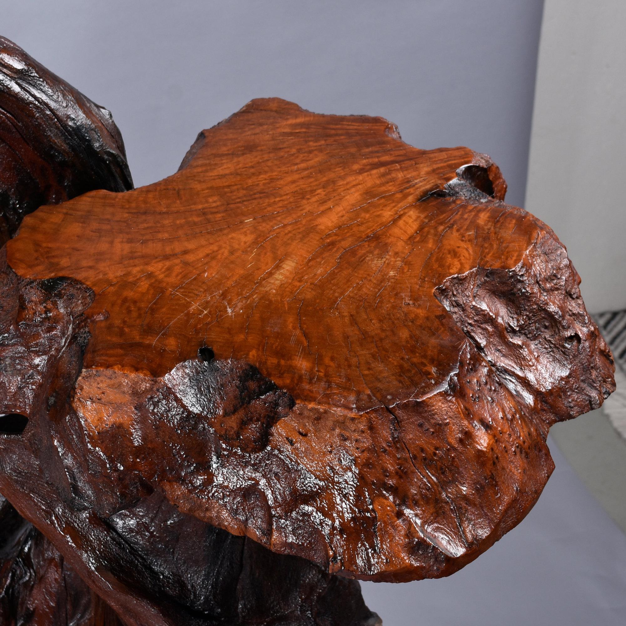 Large Rustic Live Edge Tree Trunk Plant Stand or Art Pedestal For Sale 5