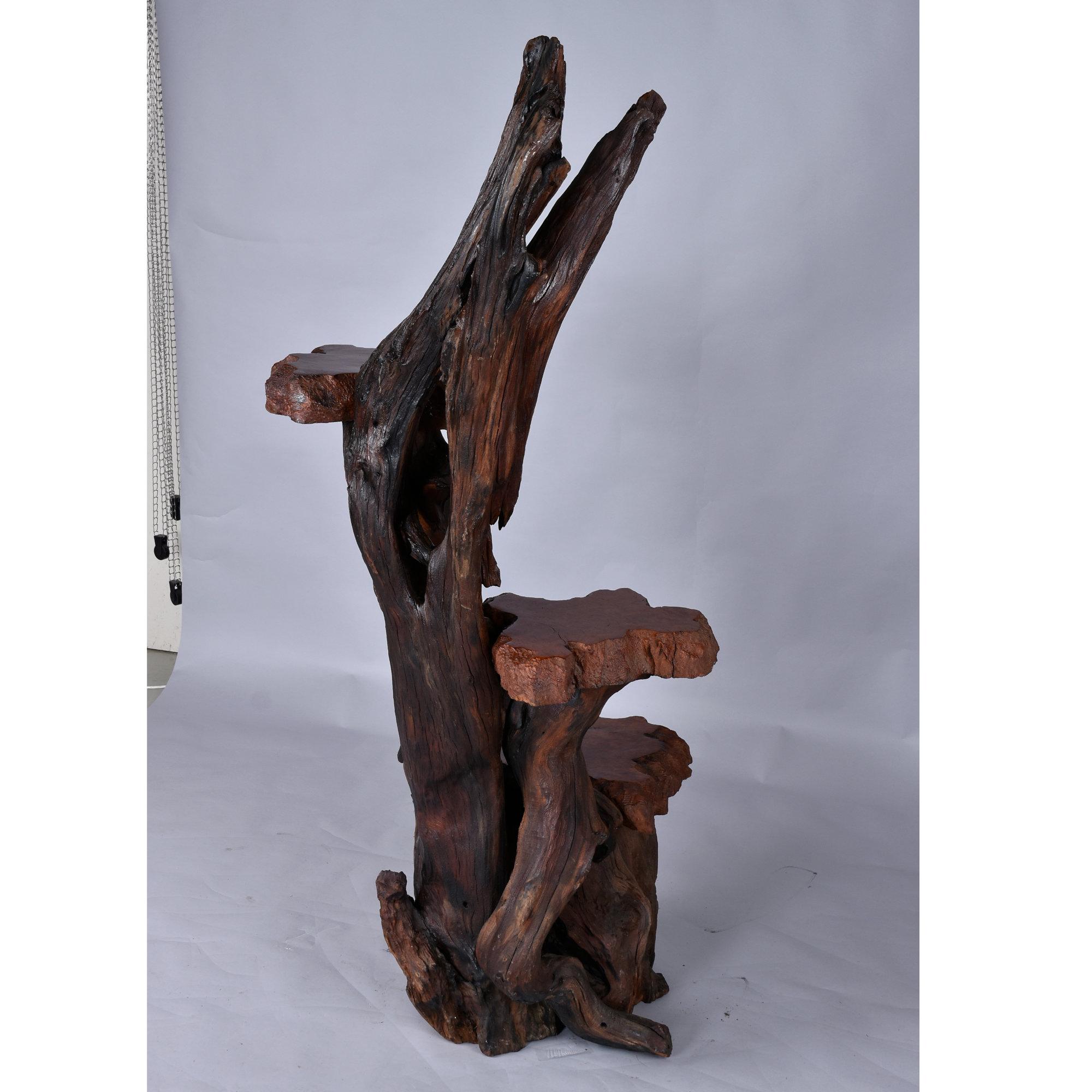 Large Rustic Live Edge Tree Trunk Plant Stand or Art Pedestal For Sale 6