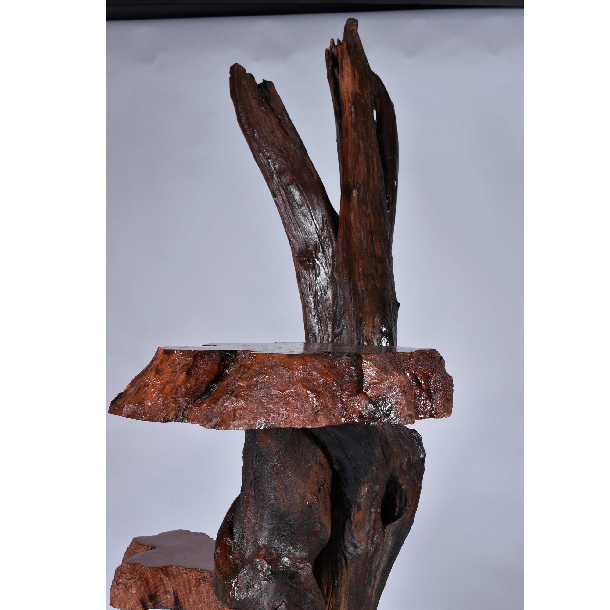 Large Rustic Live Edge Tree Trunk Plant Stand or Art Pedestal For Sale 7