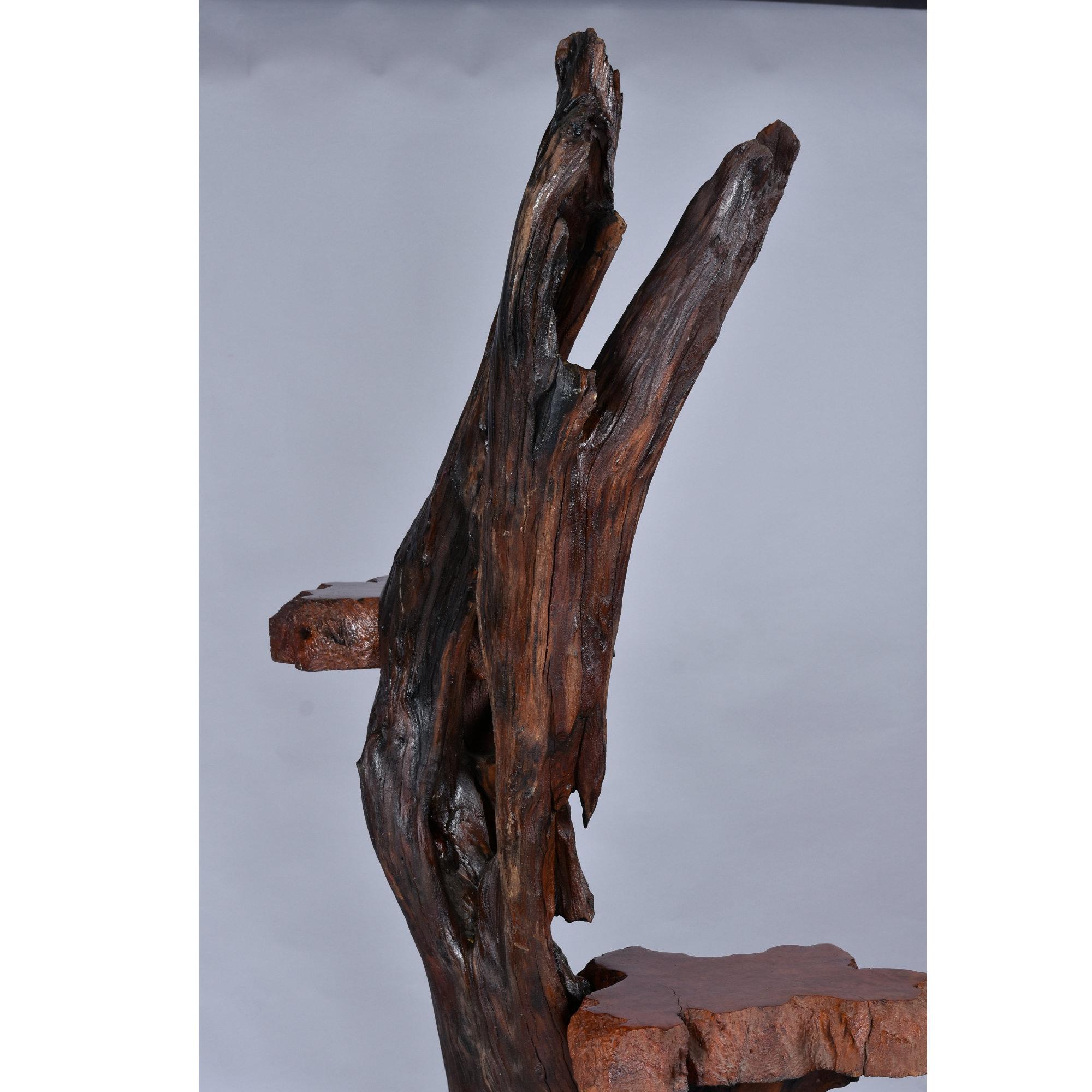 Large Rustic Live Edge Tree Trunk Plant Stand or Art Pedestal For Sale 9