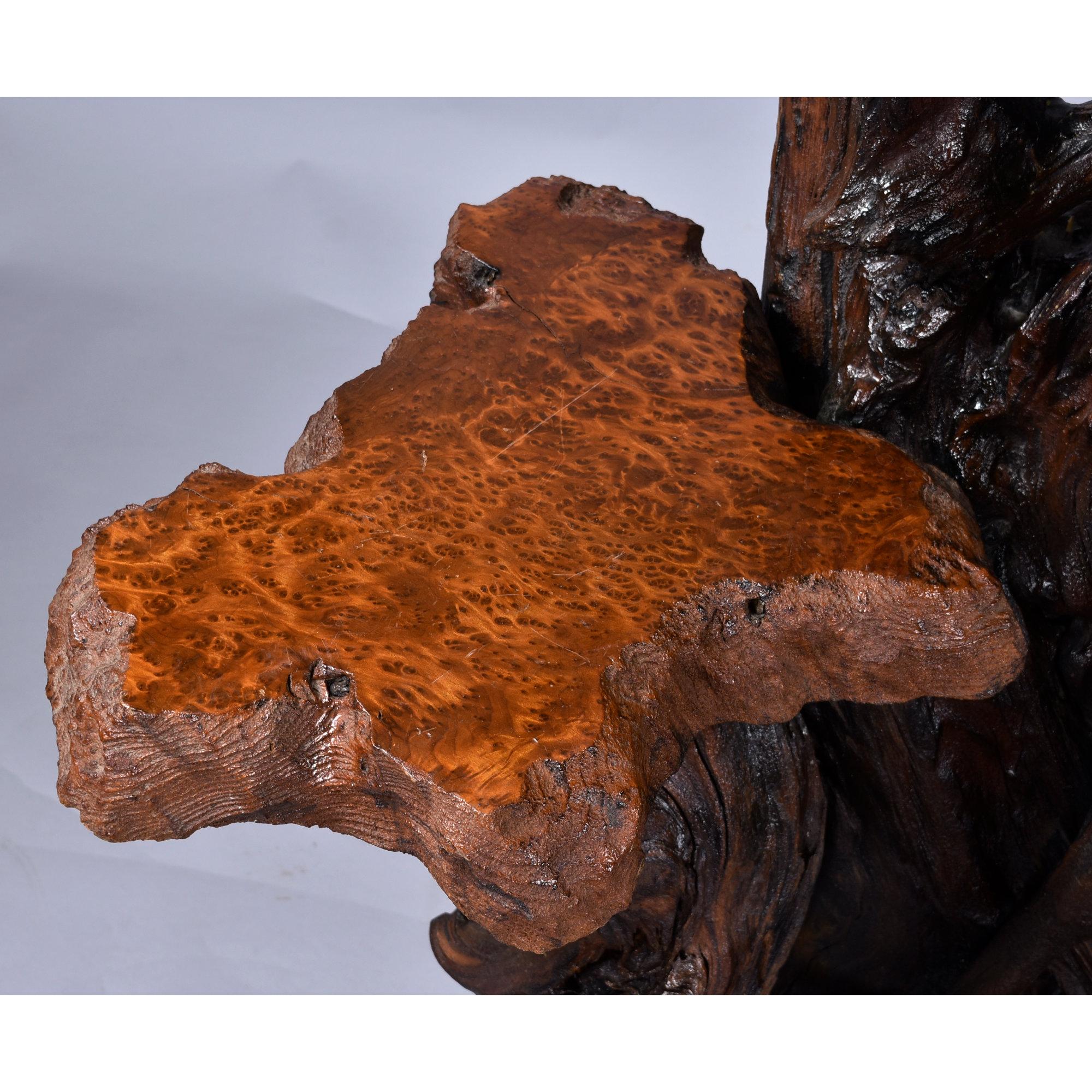 Large Rustic Live Edge Tree Trunk Plant Stand or Art Pedestal For Sale 3