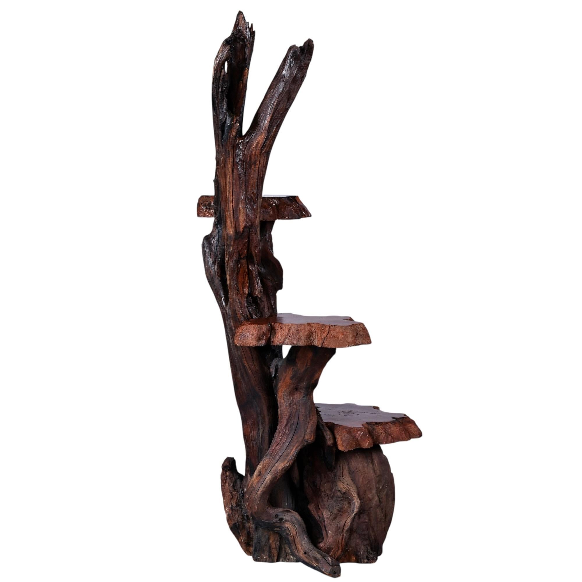 Large Rustic Live Edge Tree Trunk Plant Stand or Art Pedestal For Sale 4