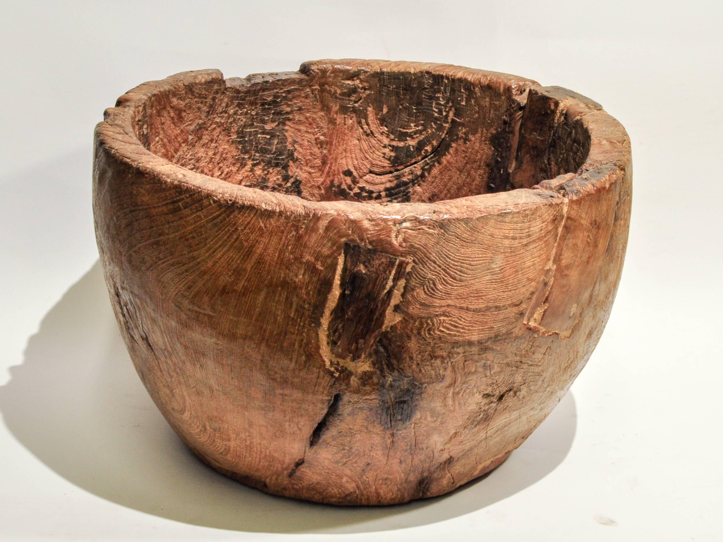 Large Rustic Teak Burl Bowl / Feed Trough, Madura, Early to Mid-20th Century 6