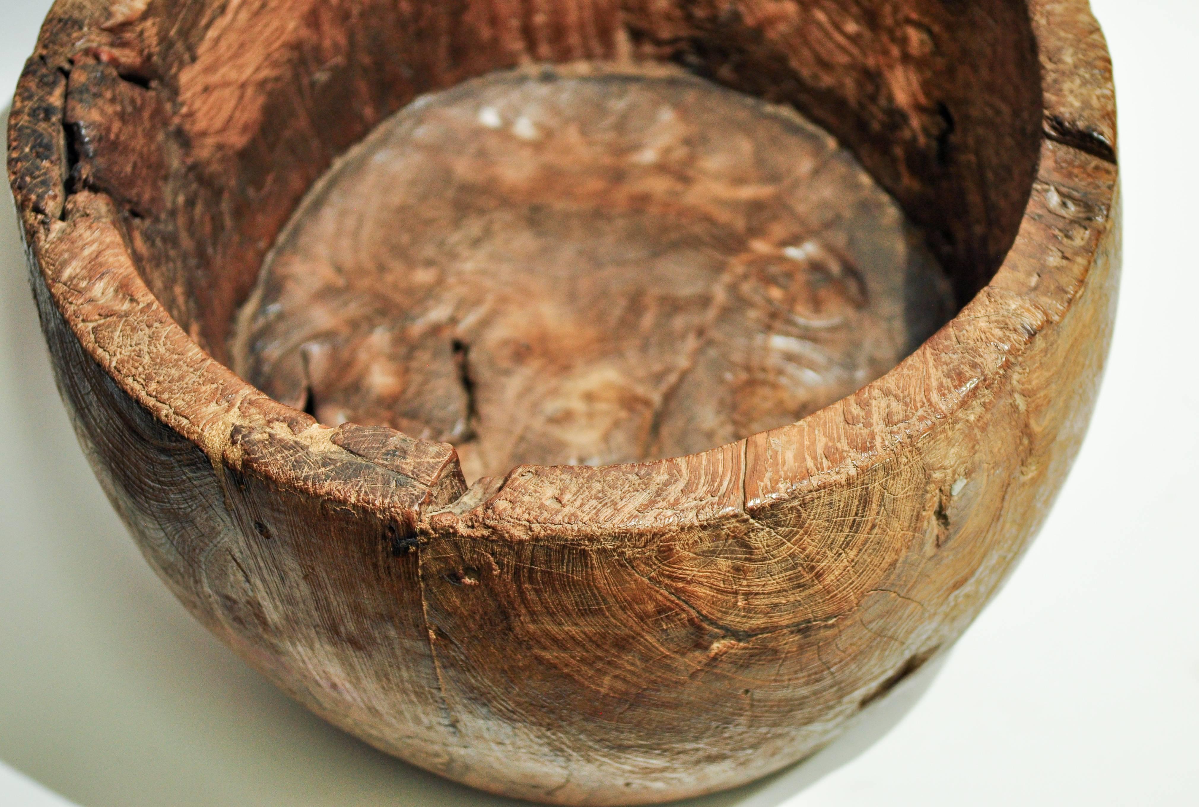 Large Rustic Teak Burl Bowl / Feed Trough, Madura, Early to Mid-20th Century 10