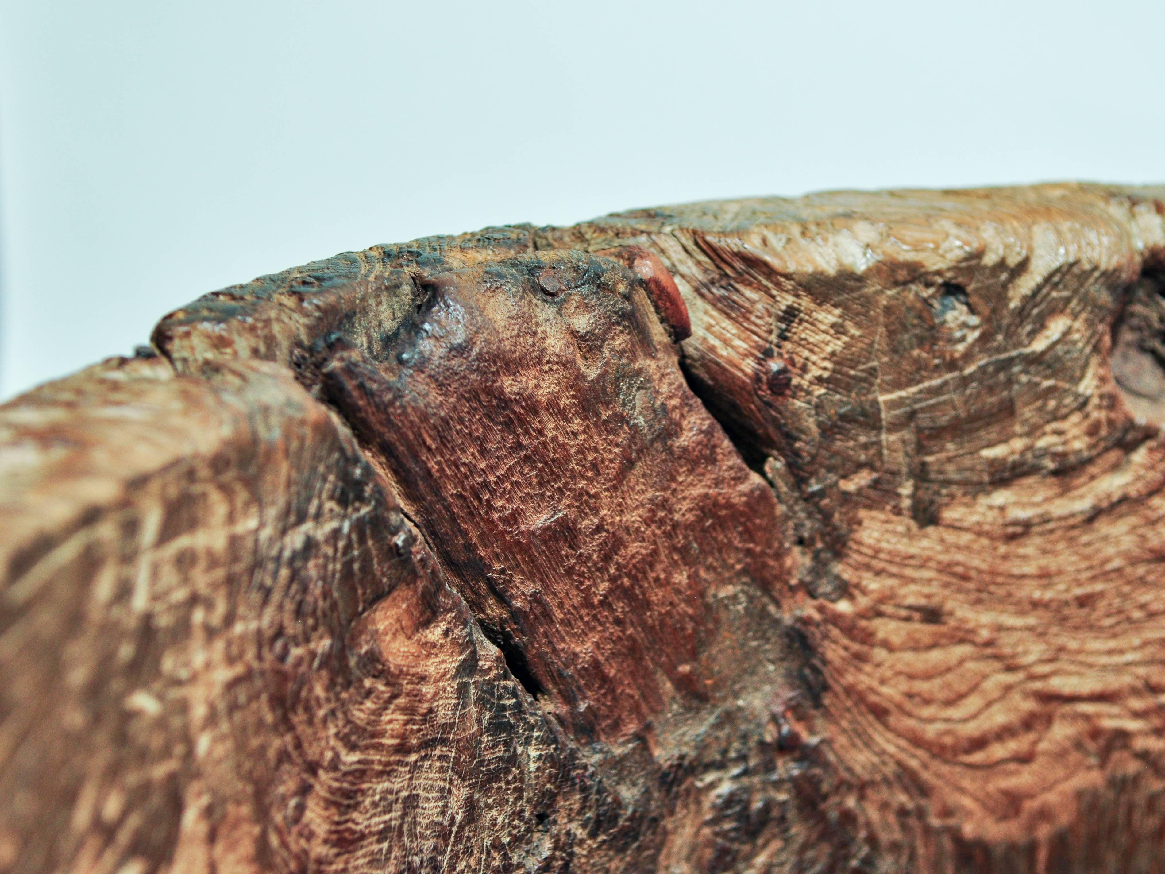 Large Rustic Teak Burl Bowl / Feed Trough, Madura, Early to Mid-20th Century 15