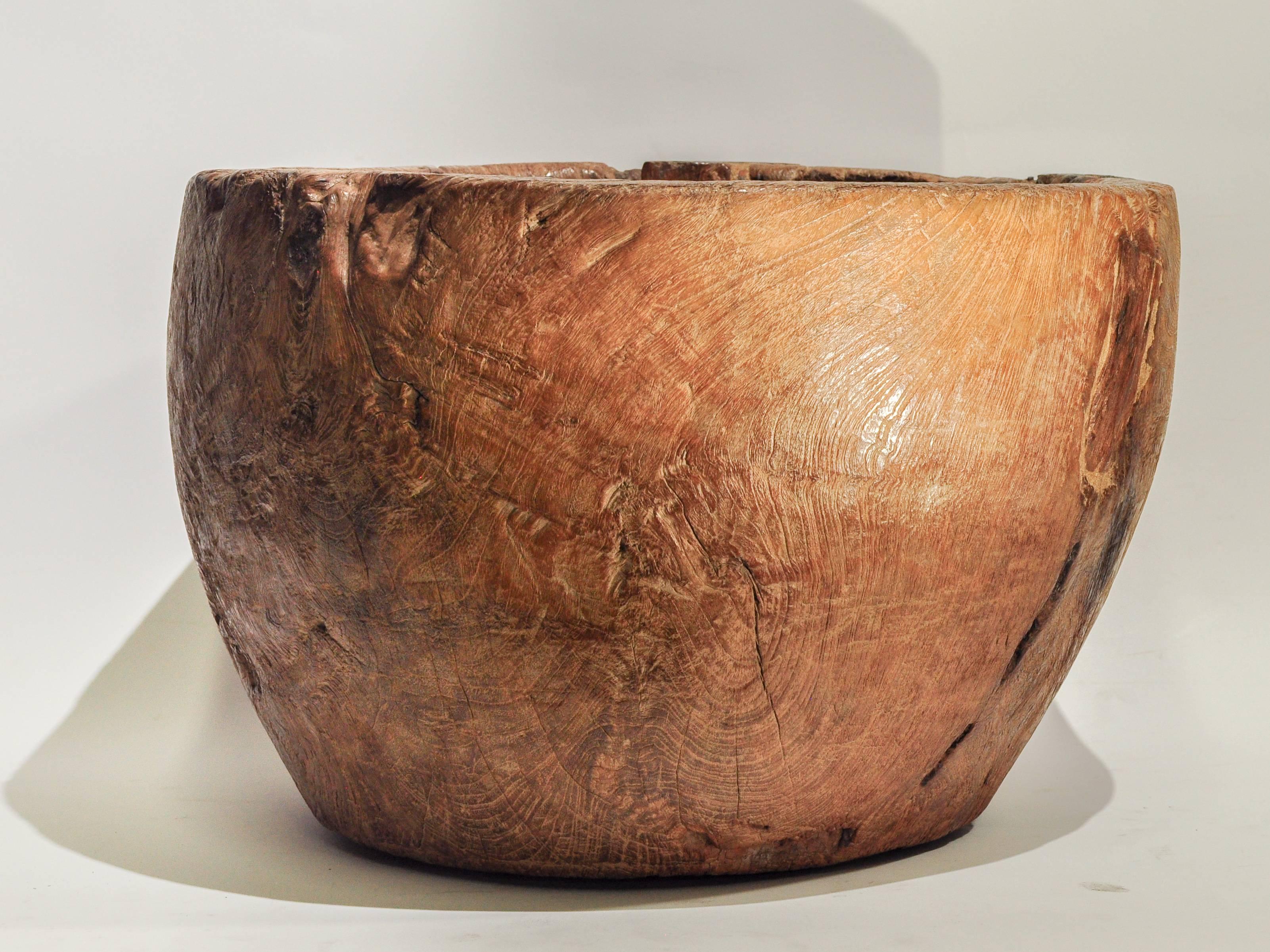 Large Rustic Teak Burl Bowl / Feed Trough, Madura, Early to Mid-20th Century 1