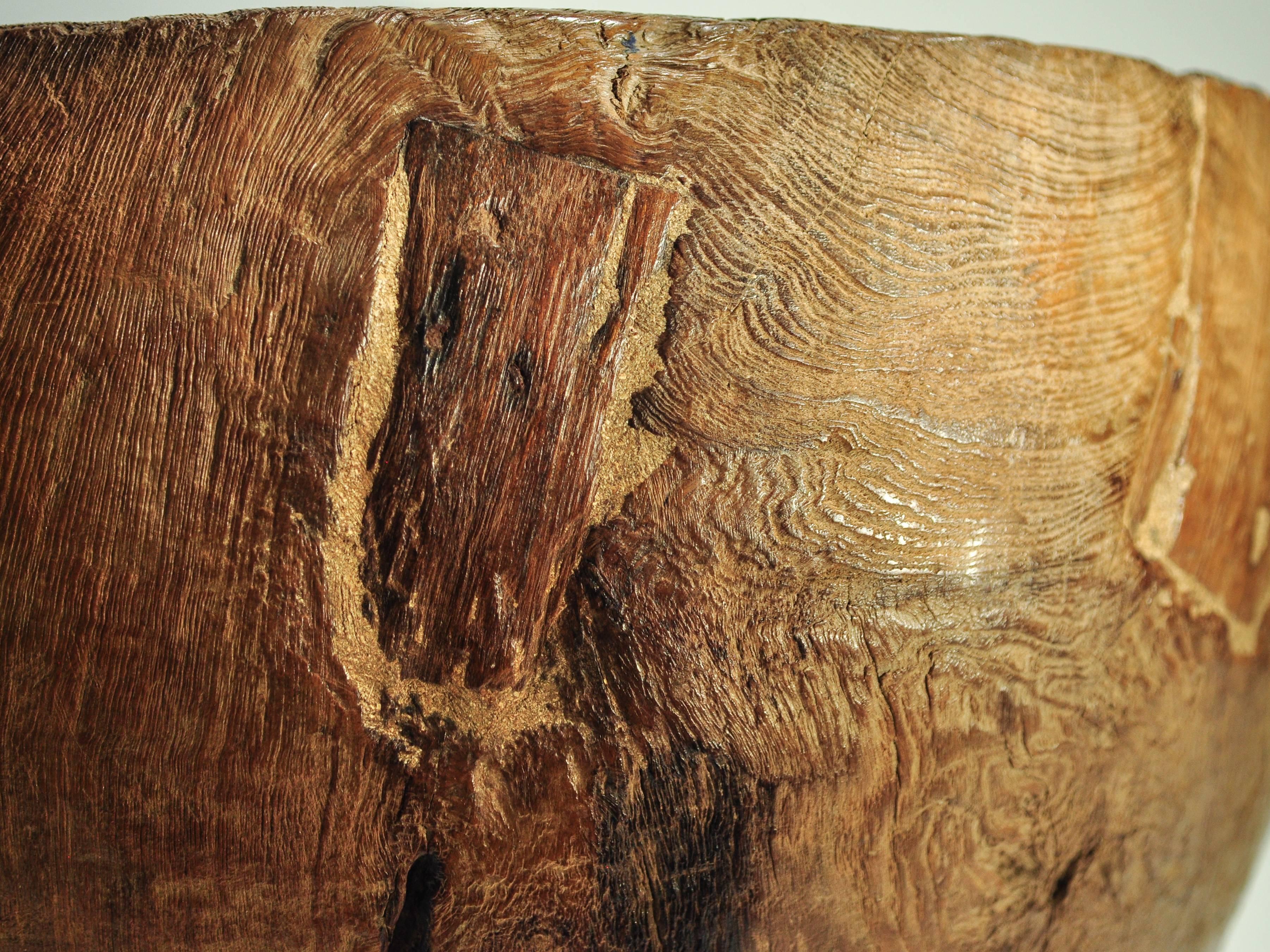 Large Rustic Teak Burl Bowl / Feed Trough, Madura, Early to Mid-20th Century 3