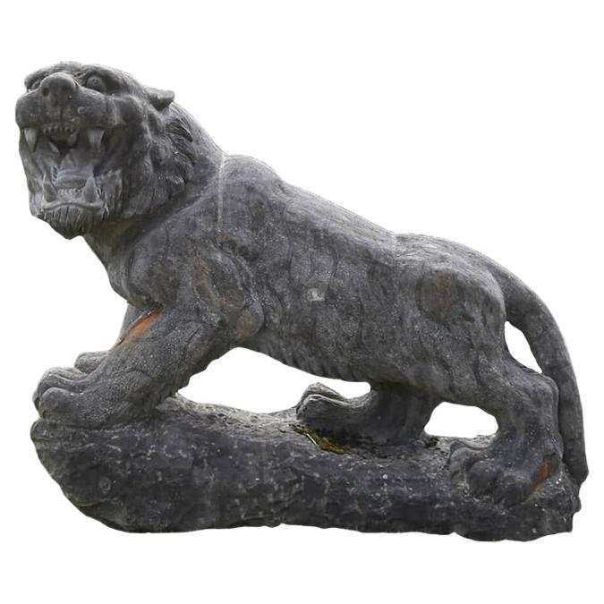 Grande sciabola di tigre in pietra XX secolo in vendita