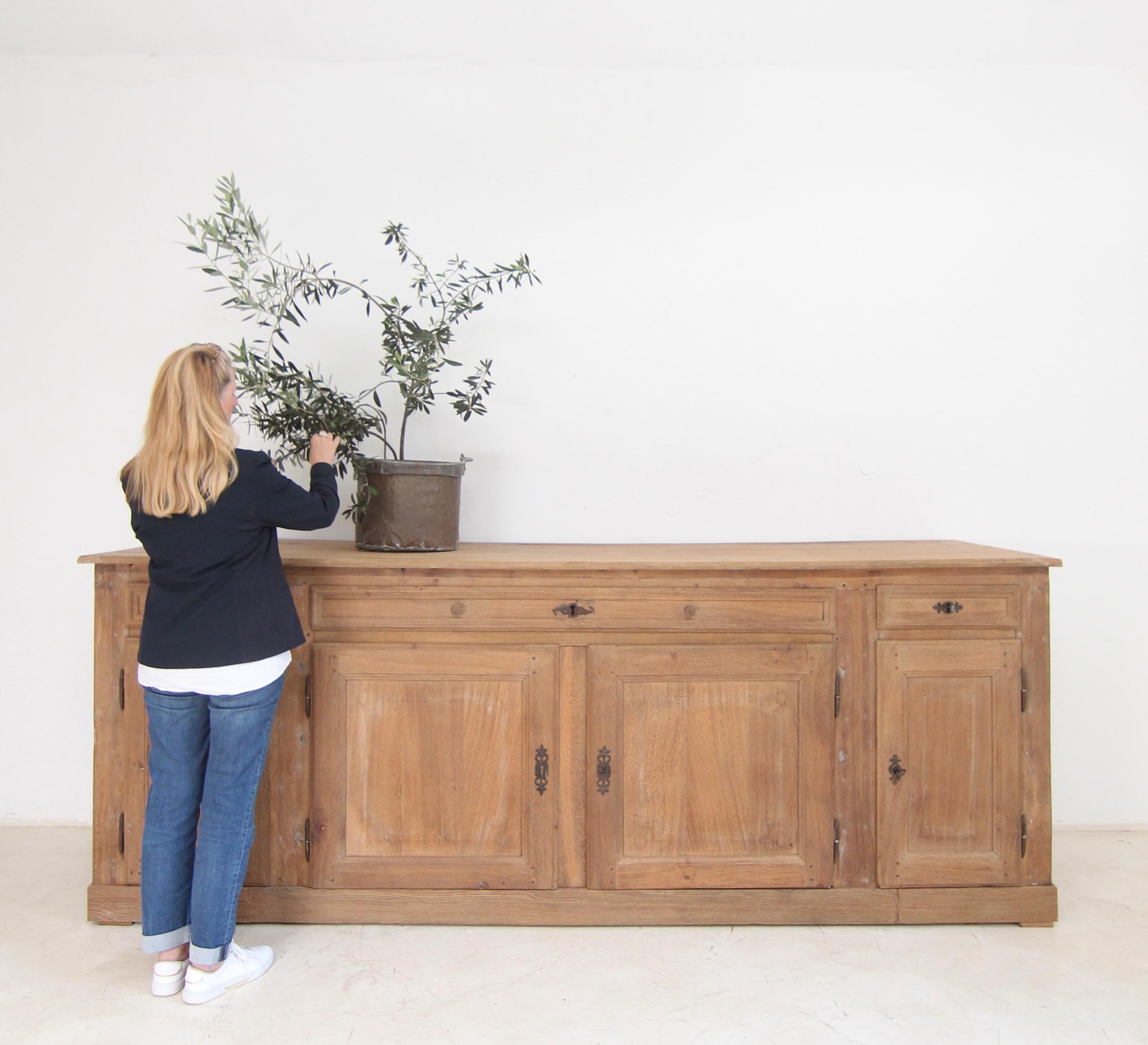 Grande buffet da sacrestia della fine del XVIII o dell'inizio del XIX secolo. Solidamente realizzato in Oak. 

In origine, il pezzo veniva utilizzato per conservare paramenti, abiti e tonache di alta qualità, oltre a paliotti e altri oggetti