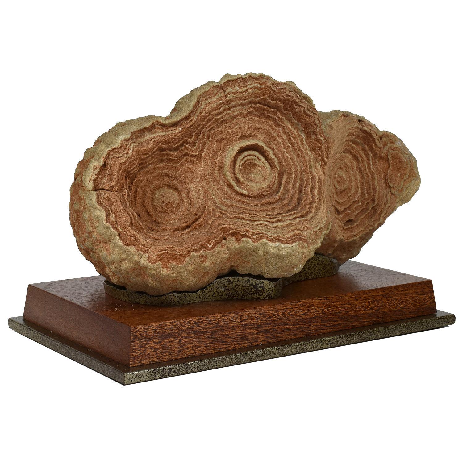 sandstone concretions for sale