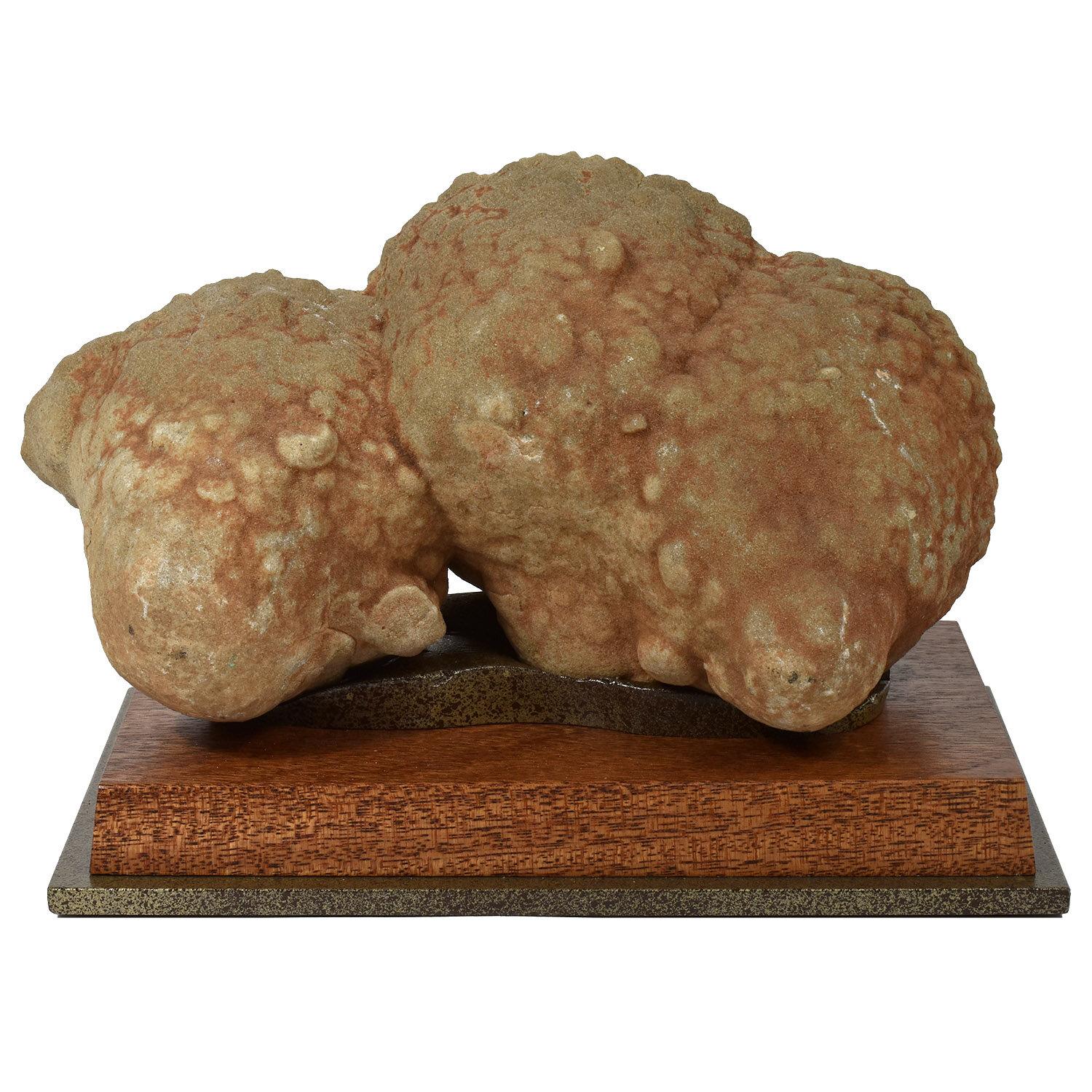 concretion rock for sale