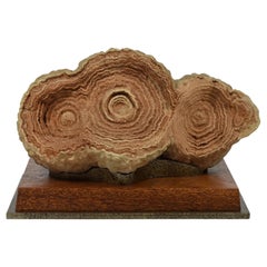 Große Sandstein-Konkretion:: natürliches Mineral Exemplar