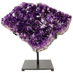 Large Saturated Rich Purple Amethyst Cluster with All-Natural Druzy
