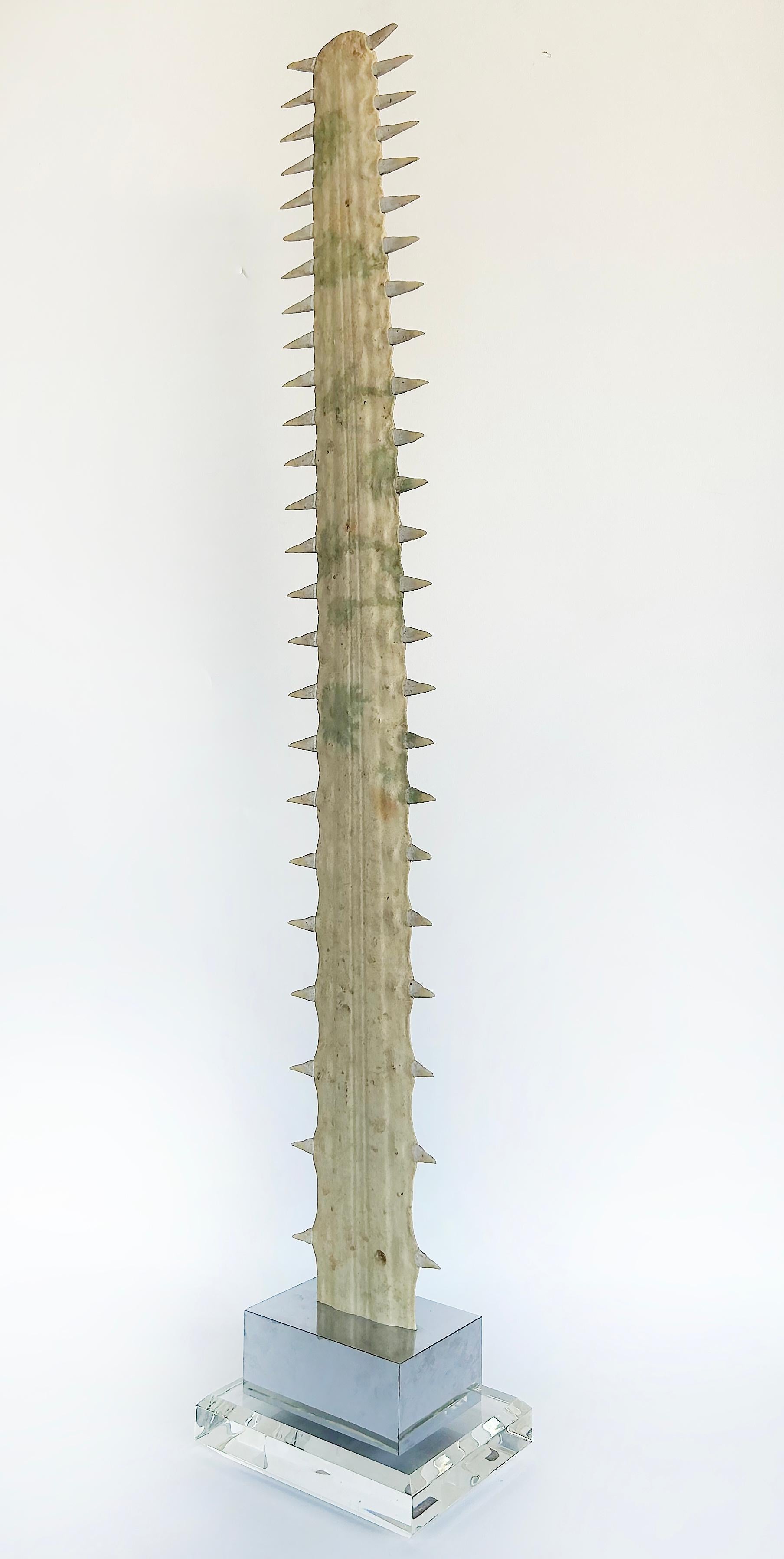 Large Sawfish Bill Rostrum Trophy Mounted on Chrome, Lucite, 1970s For Sale 5