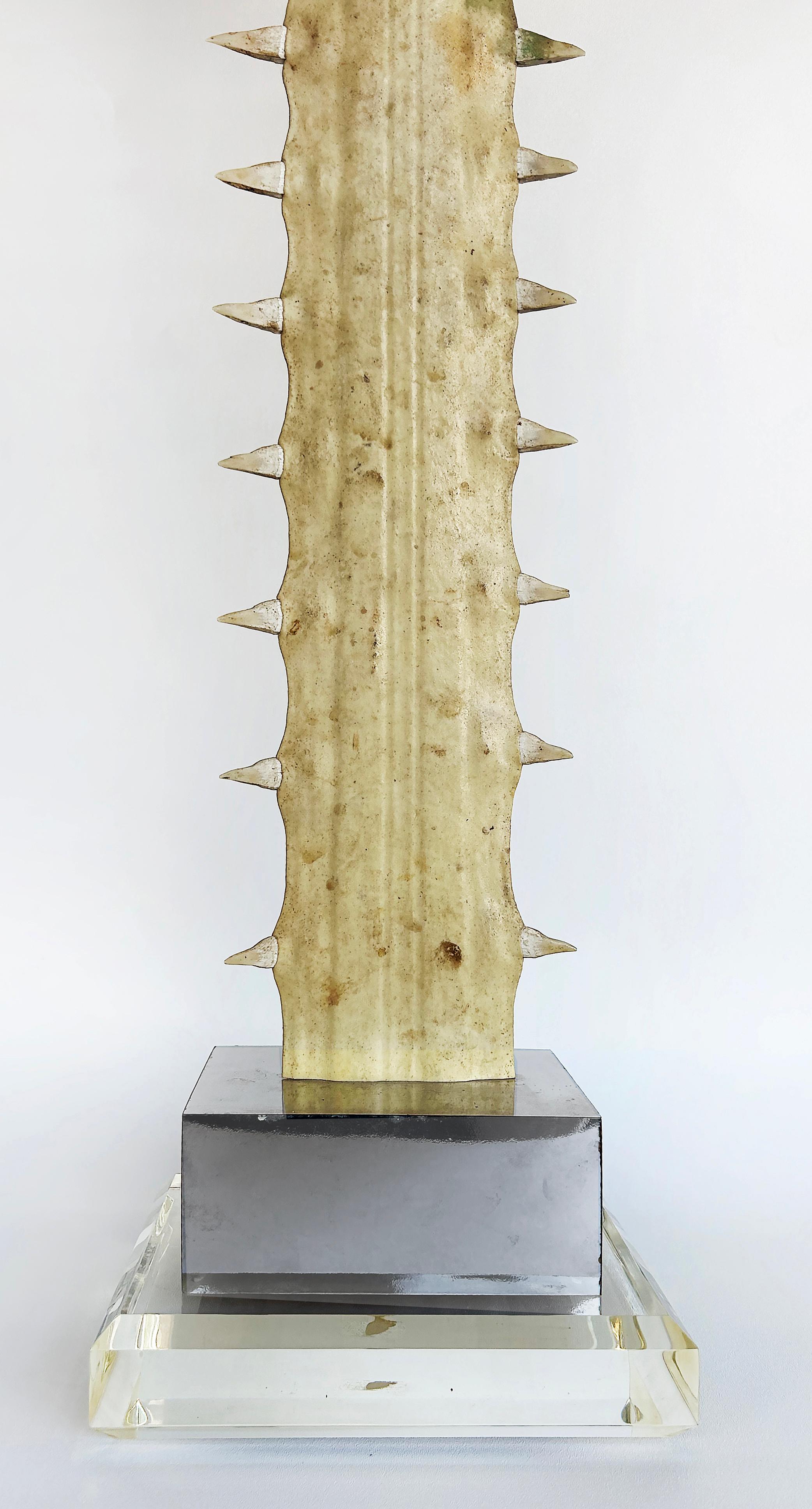 Large Sawfish Bill Rostrum Trophy Mounted on Chrome, Lucite, 1970s For Sale 8