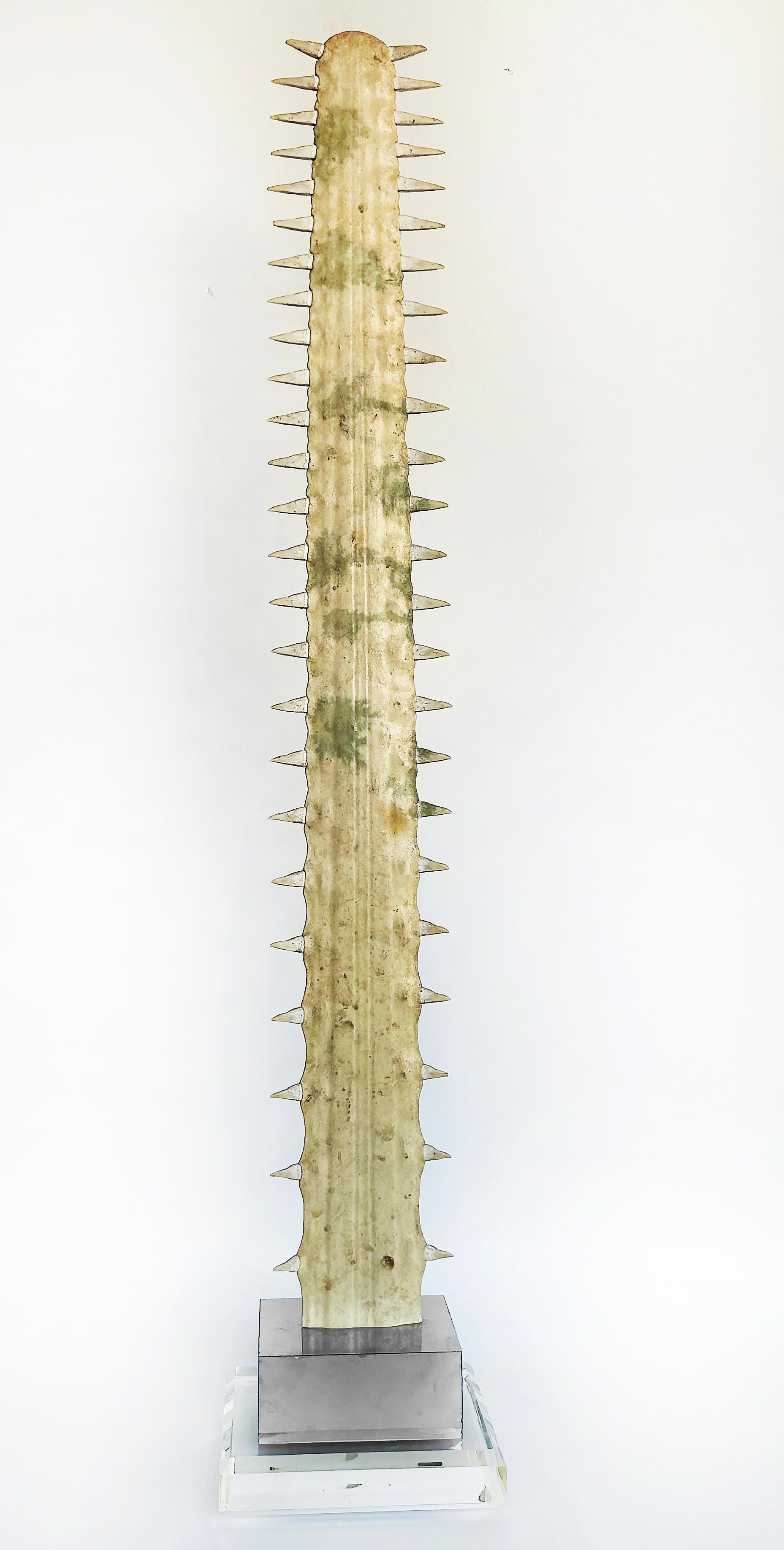 Late 20th Century Large Sawfish Bill Rostrum Trophy Mounted on Chrome, Lucite, 1970s For Sale
