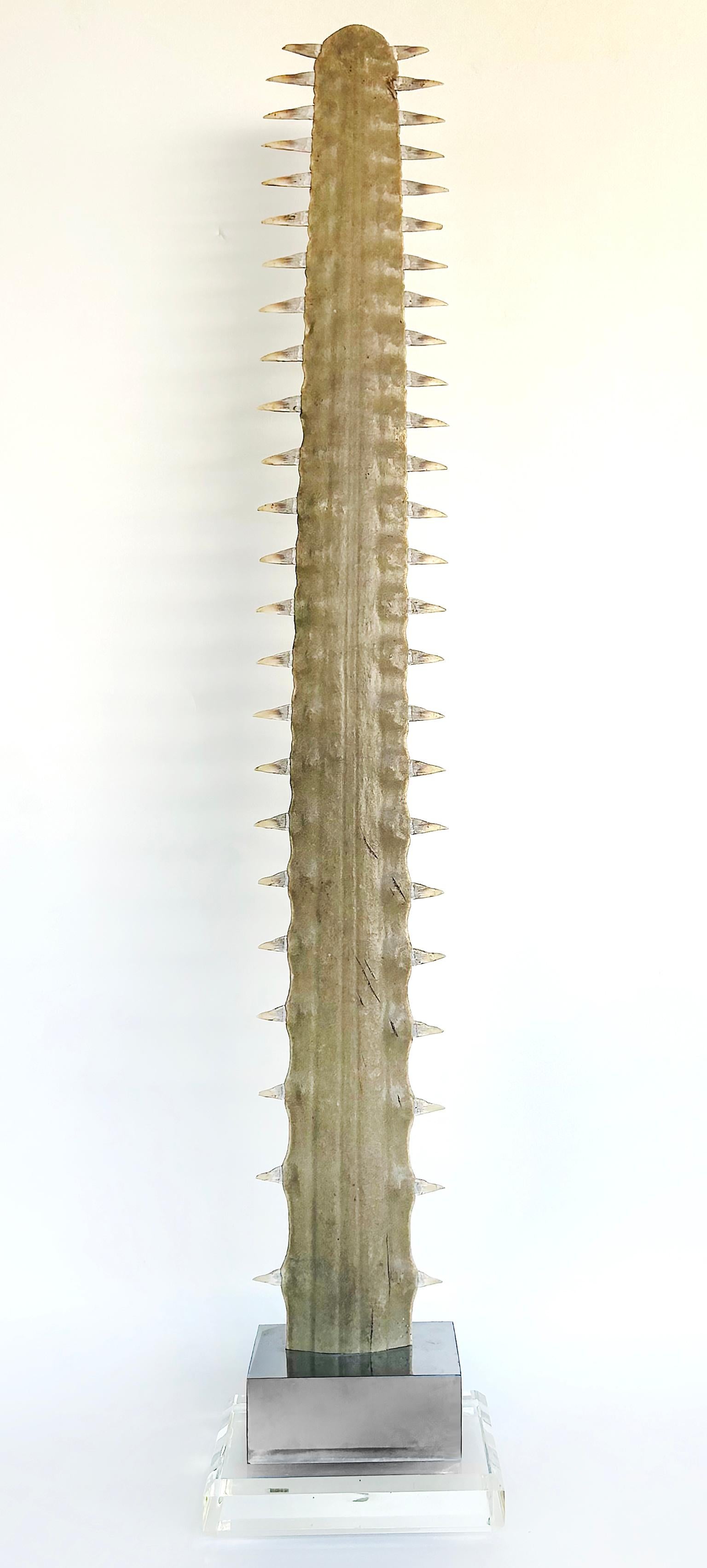 Large Sawfish Bill Rostrum Trophy Mounted on Chrome, Lucite, 1970s For Sale 3