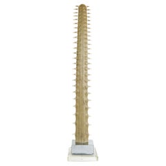 Large Sawfish Bill Rostrum Trophy Mounted on Chrome, Lucite, 1970s