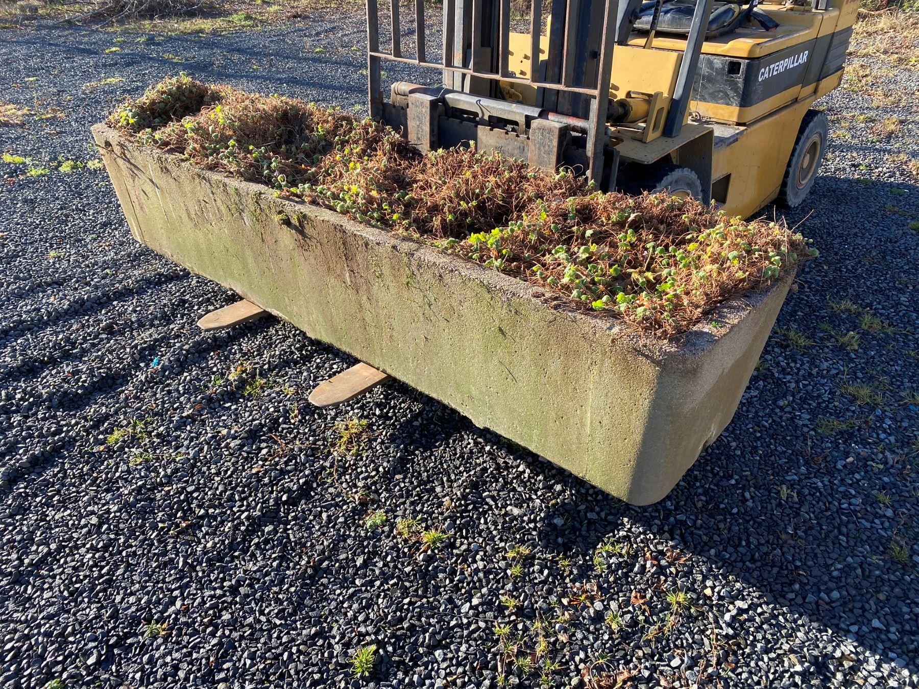 Mid-Century Modern Large Scale 1970s Concrete Planter Trough in the Manner of Willy Guhl For Sale