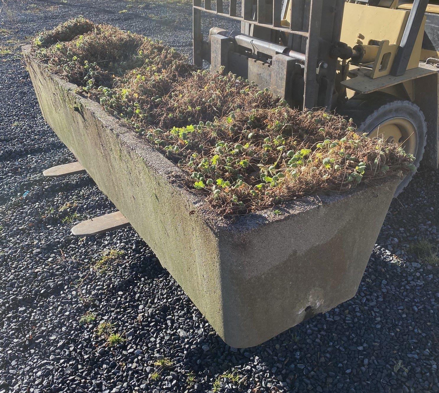 English Large Scale 1970s Concrete Planter Trough in the Manner of Willy Guhl For Sale