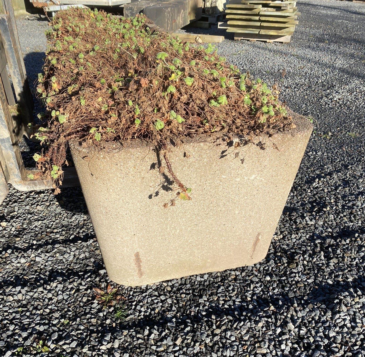 Large Scale 1970s Concrete Planter Trough in the Manner of Willy Guhl For Sale 1