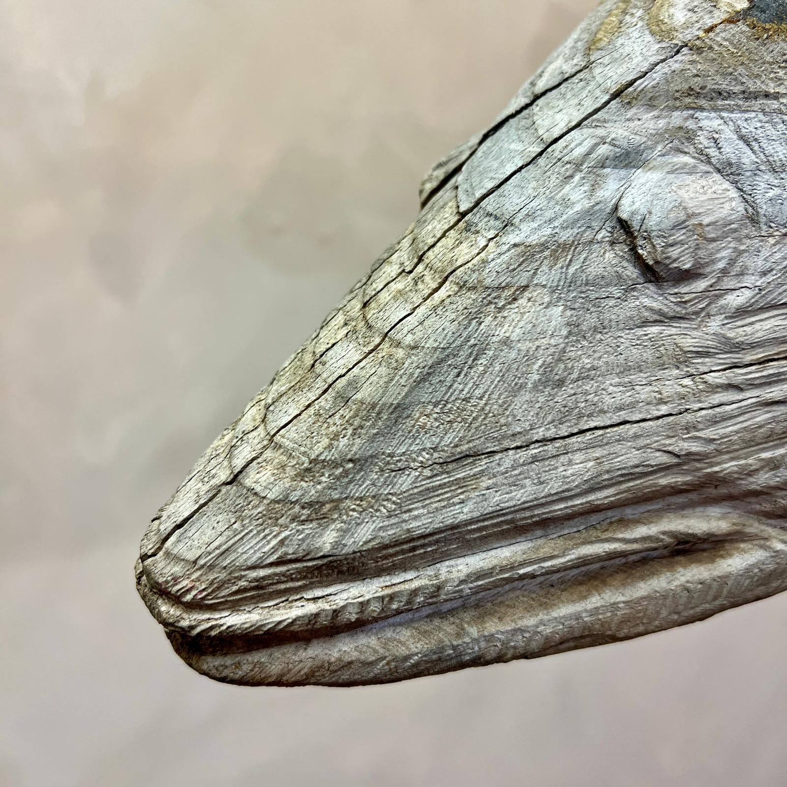 Signo de comercio de pescadería francesa tallado a mano a gran escala, siglo XX Arte popular en venta 8