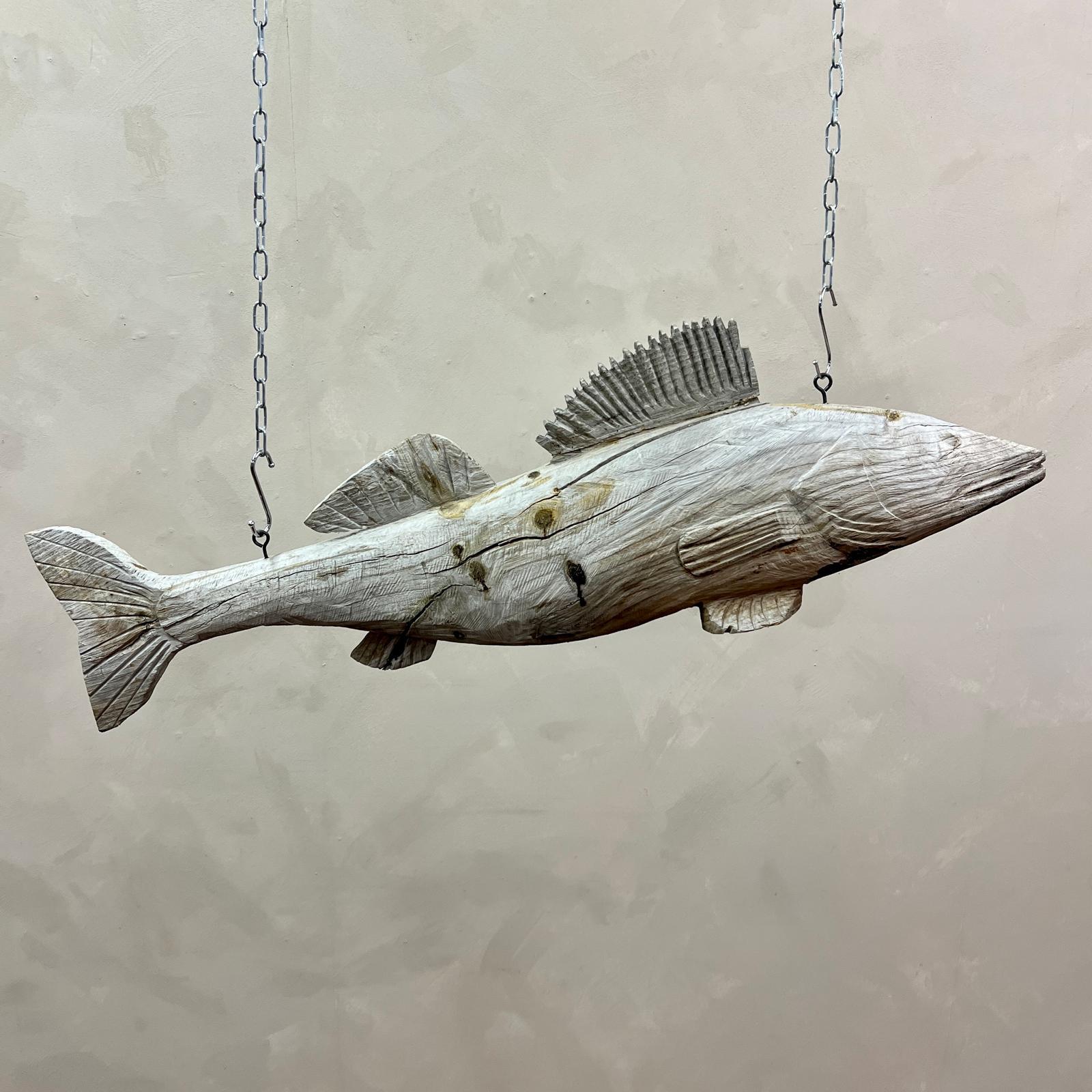 Large scal, fisherie trade sign. This hand carved Zander was hung in a local french village near Laval, advertising a local fisherie, then purchased 20 years ago by a local dealer and would now look great hung in the kitchen or restaurant.
Silvered,
