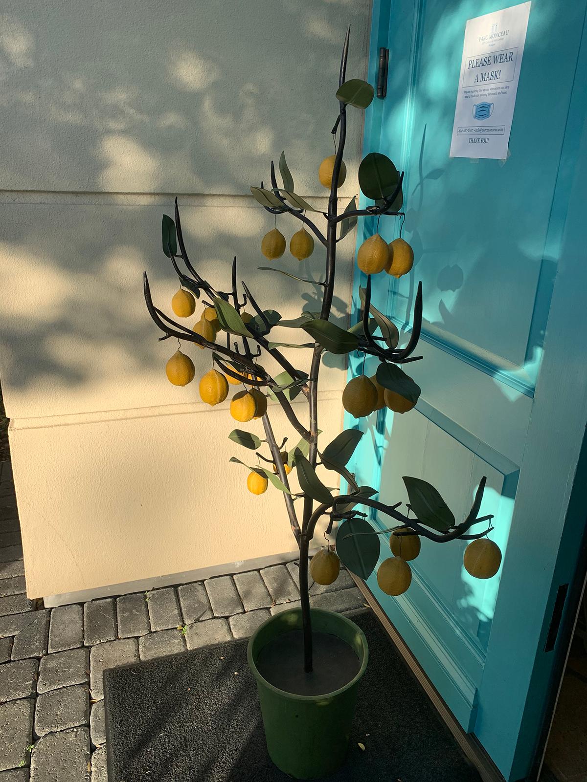 Large Scale 20th Century Italian Tole Lemon Tree 1