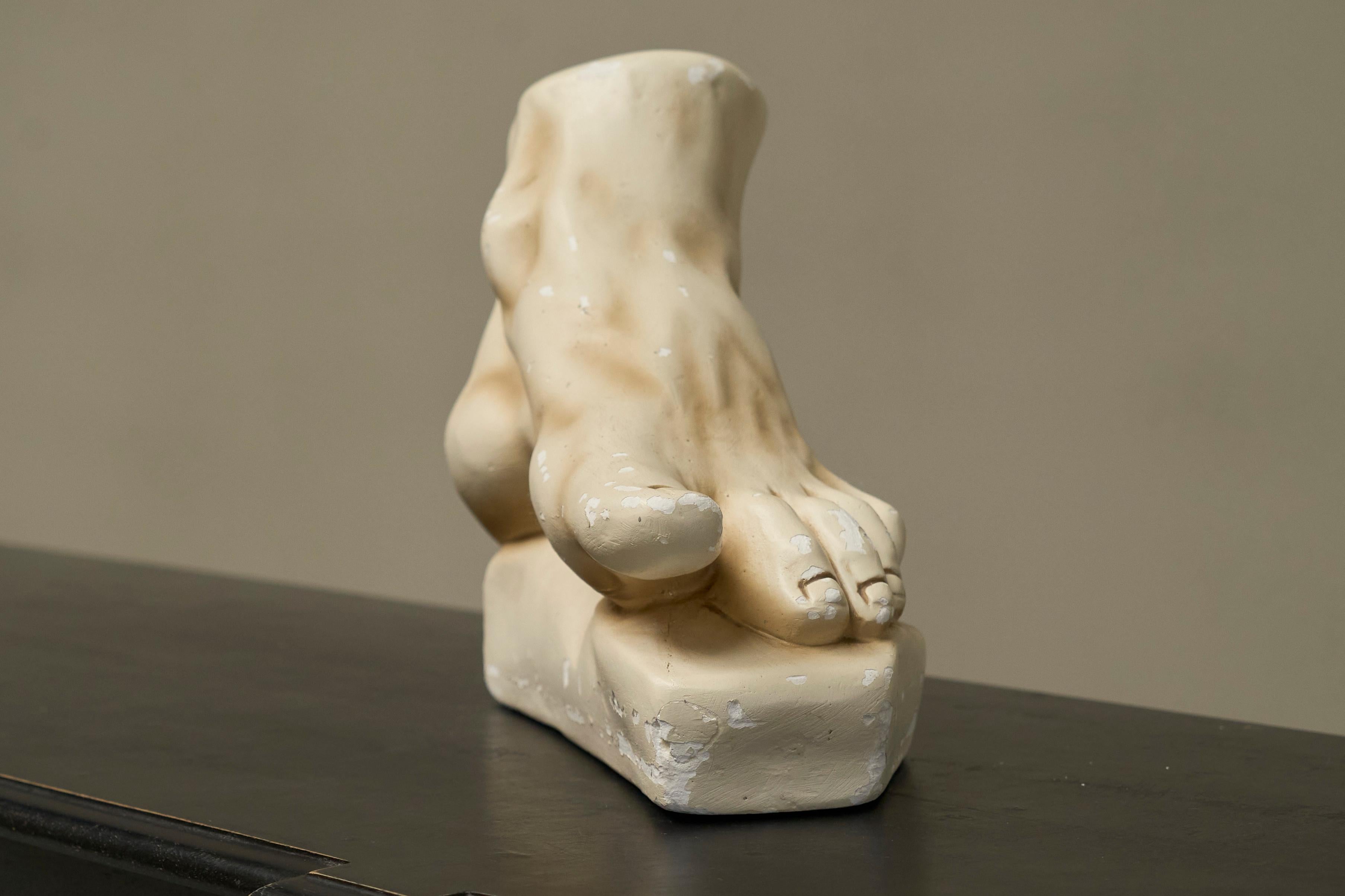 Large Scale Anatomical Study of a Foot in Plaster 1950s For Sale 1