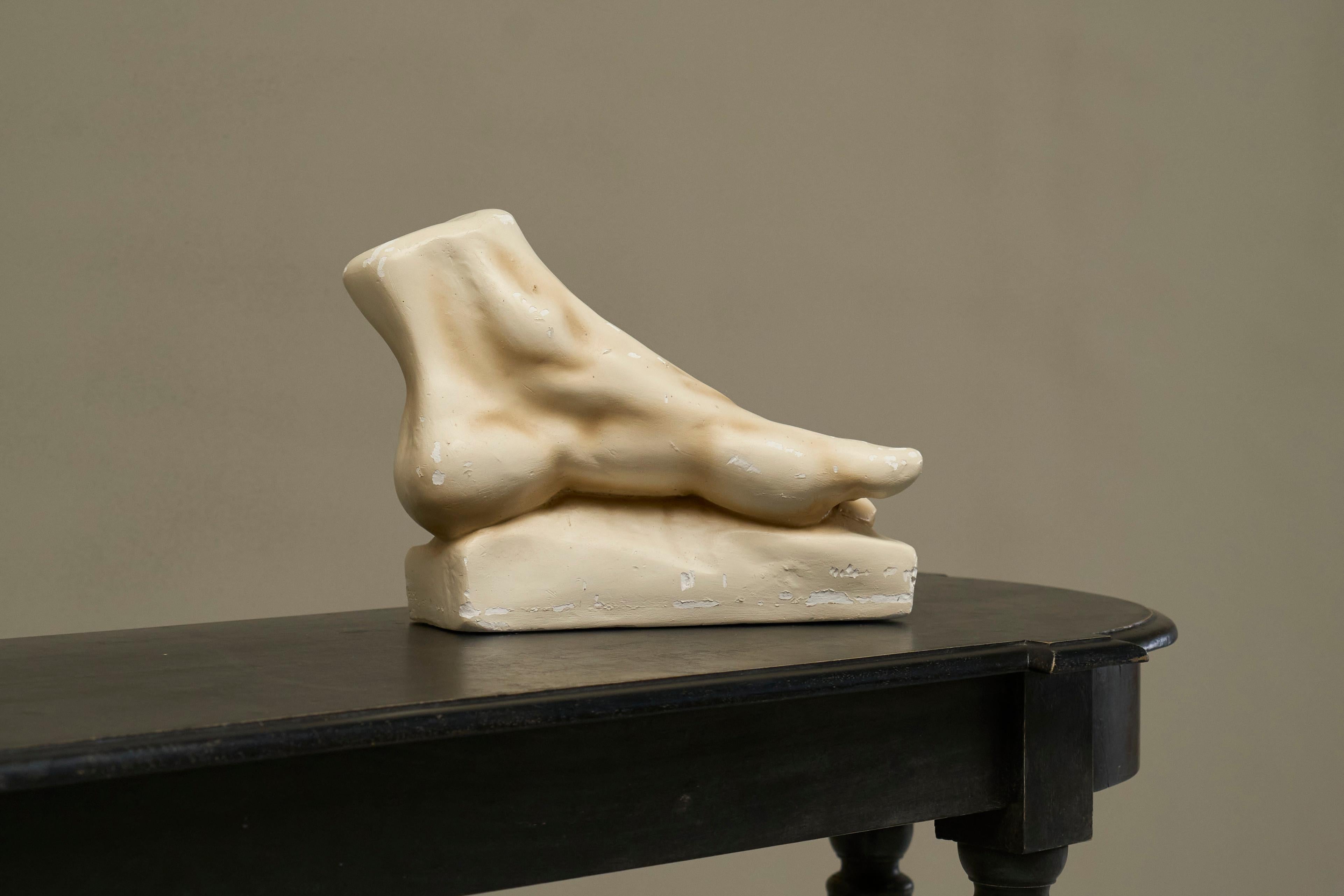 Large Scale Anatomical Study of a Foot in Plaster 1950s For Sale 2