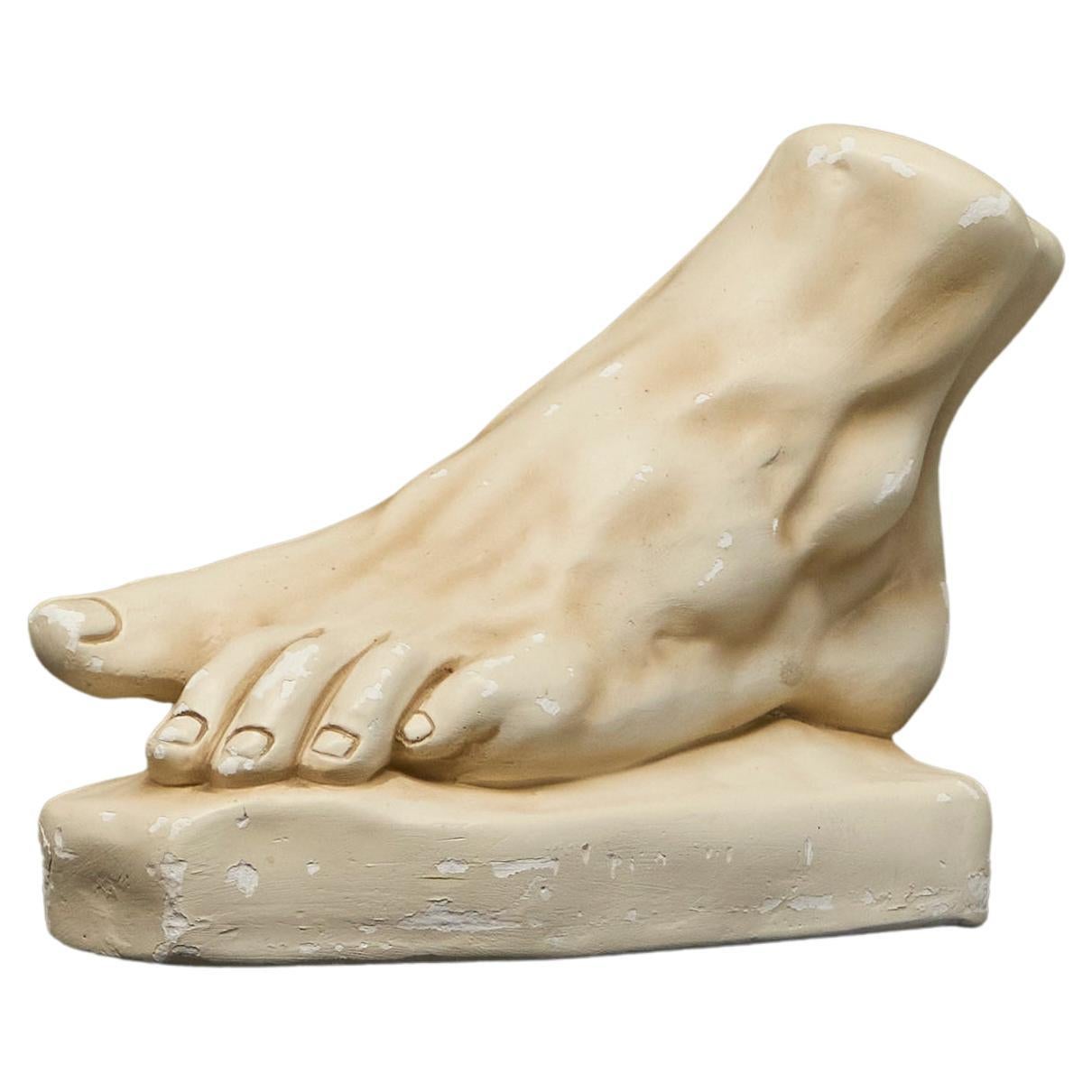 Large Scale Anatomical Study of a Foot in Plaster 1950s