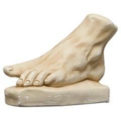 Large Scale Anatomical Study of a Foot in Plaster 1950s