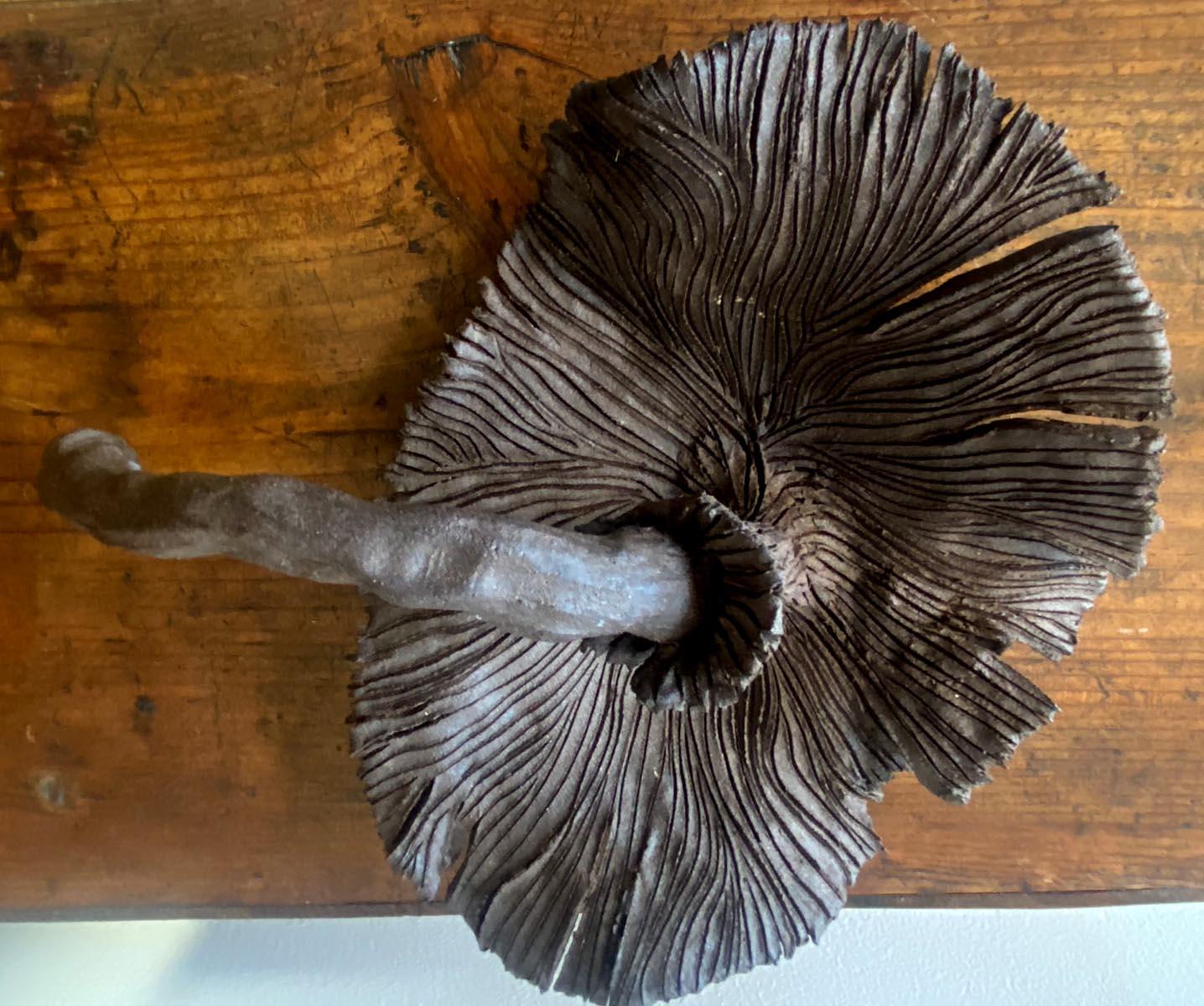Large Scale Clay Mushroom For Sale 7