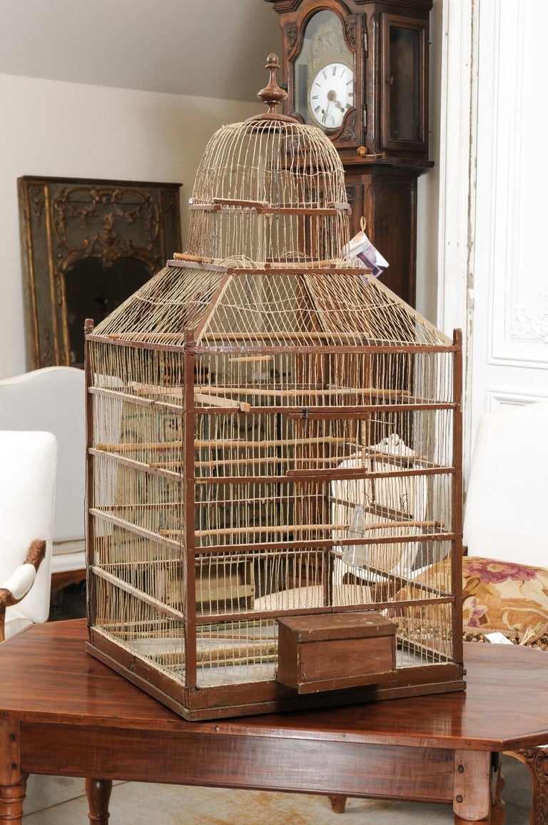 Large Scale French 19th Century Domed Birdcage with Weathered ...