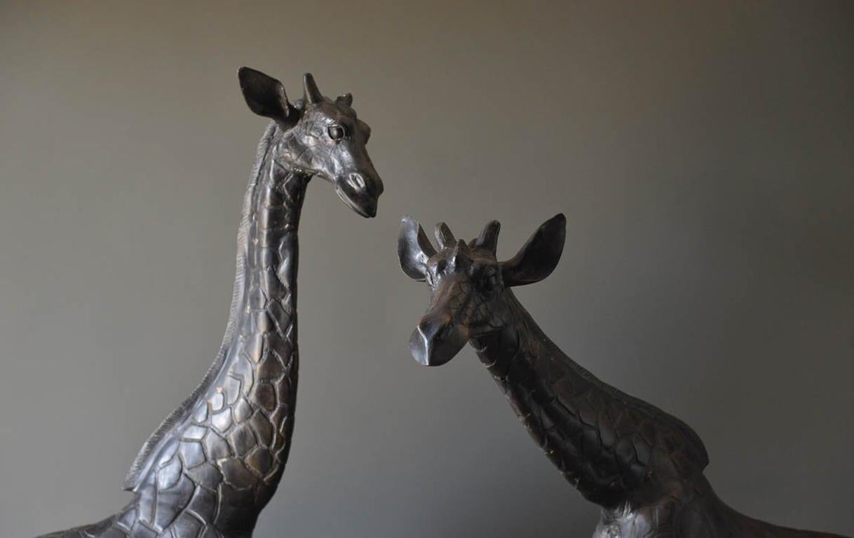 Lifesize pair of bronze Giraffe Statues, circa 1970. One owner from a prominent waterfront home in Newport Beach, CA. Original condition with beautiful patina to the bronze. Male and Female statues, sold as a pair only. Heavy, cast bronze in very