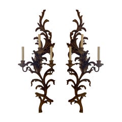 Large Scale Pair of Early 20th Century Italian Giltwood Three-Light Sconces