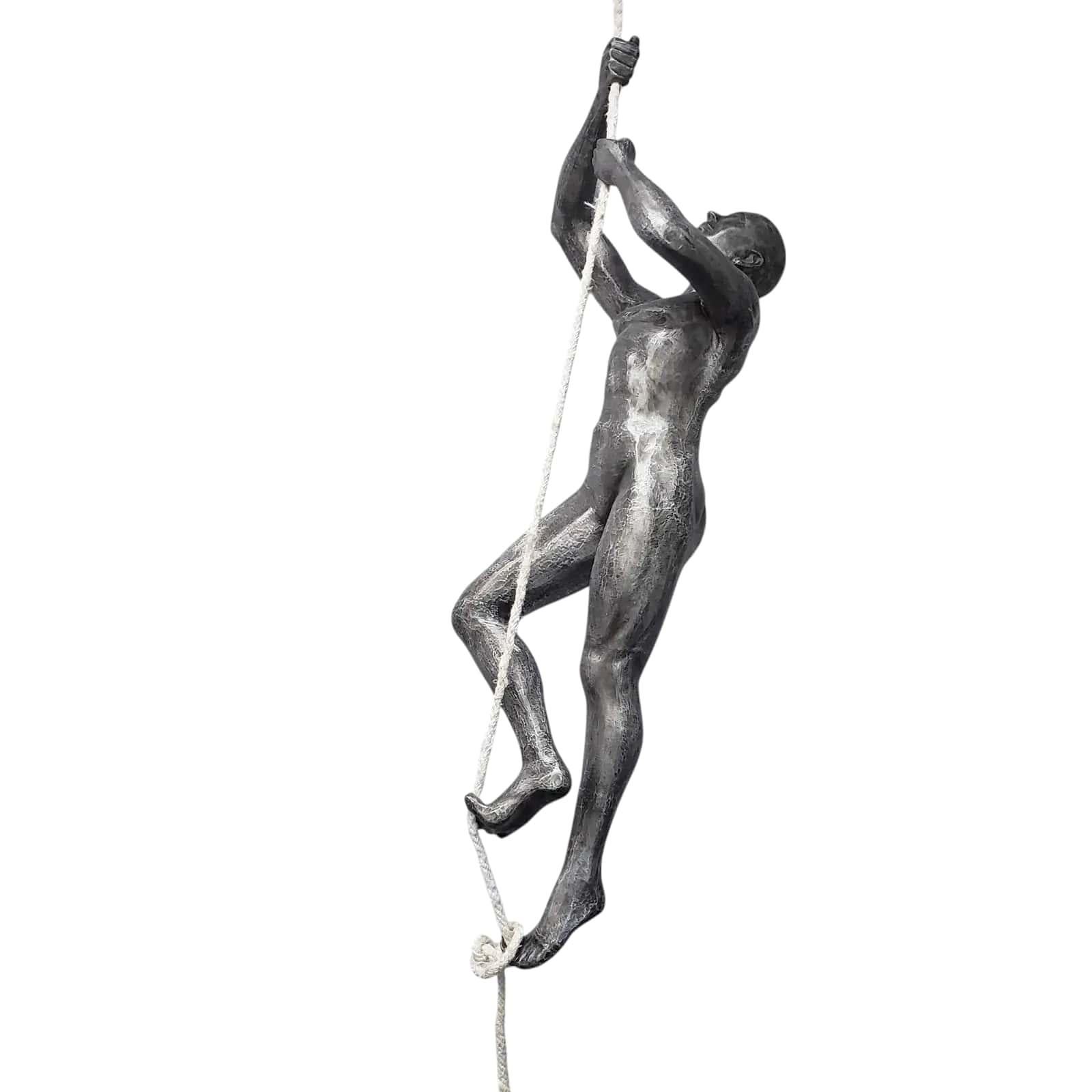 Large-Scale Rope Climbing Man by Phillips Collection, Installation For Sale 8