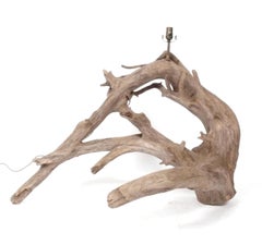Large Scale Sculptural Driftwood Lamp