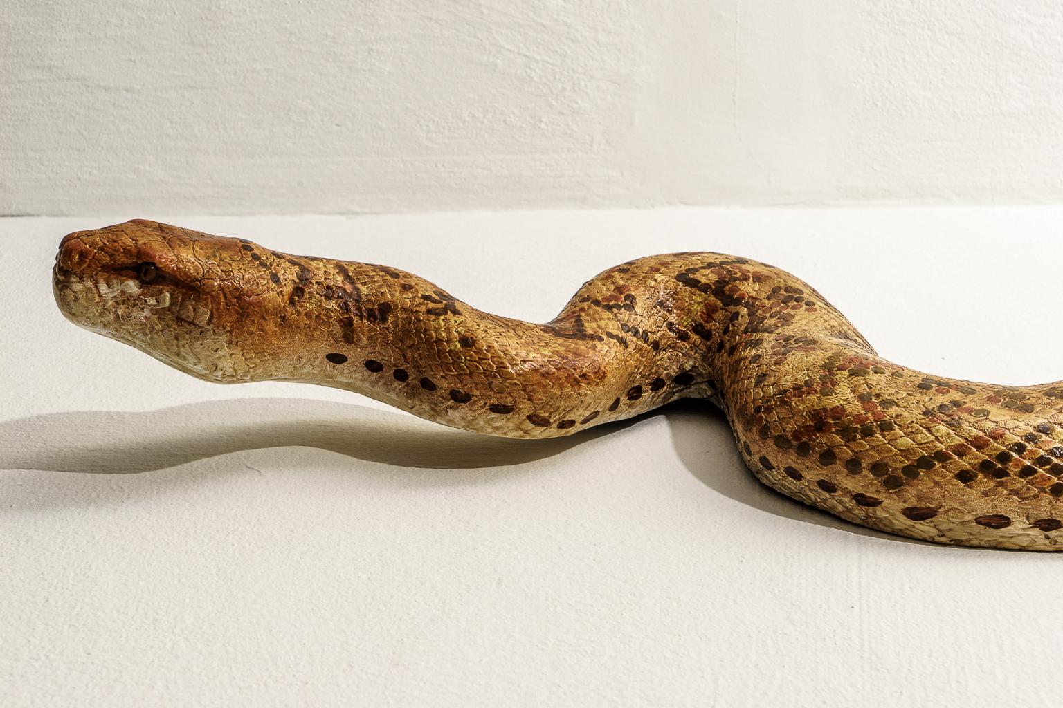 To have your own life-size boa constrictor to use as a garden sculpture or simply as a unique and intriguing statement piece, with its scale and subject matter.