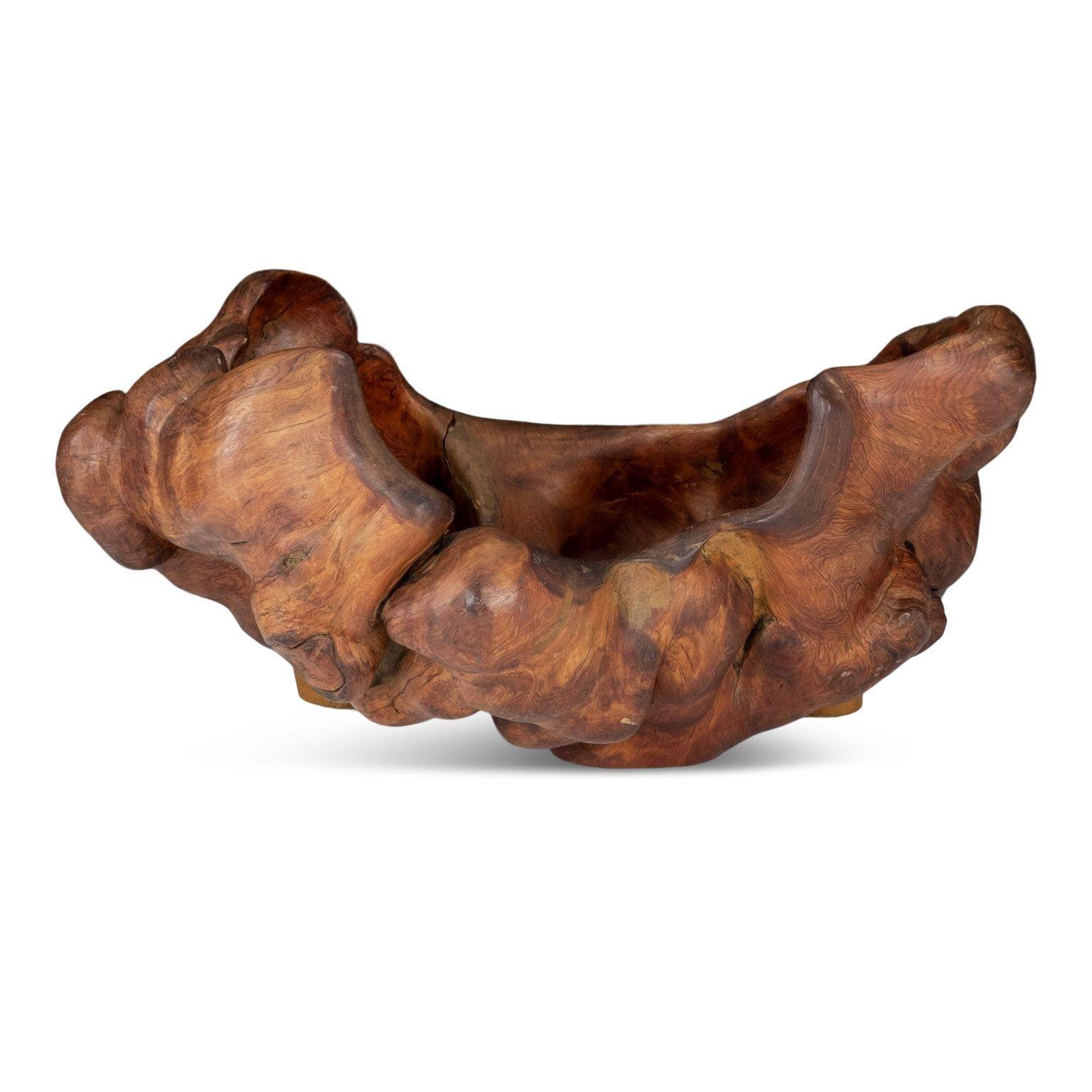 Large-Scale Swedish Root Bowl 2