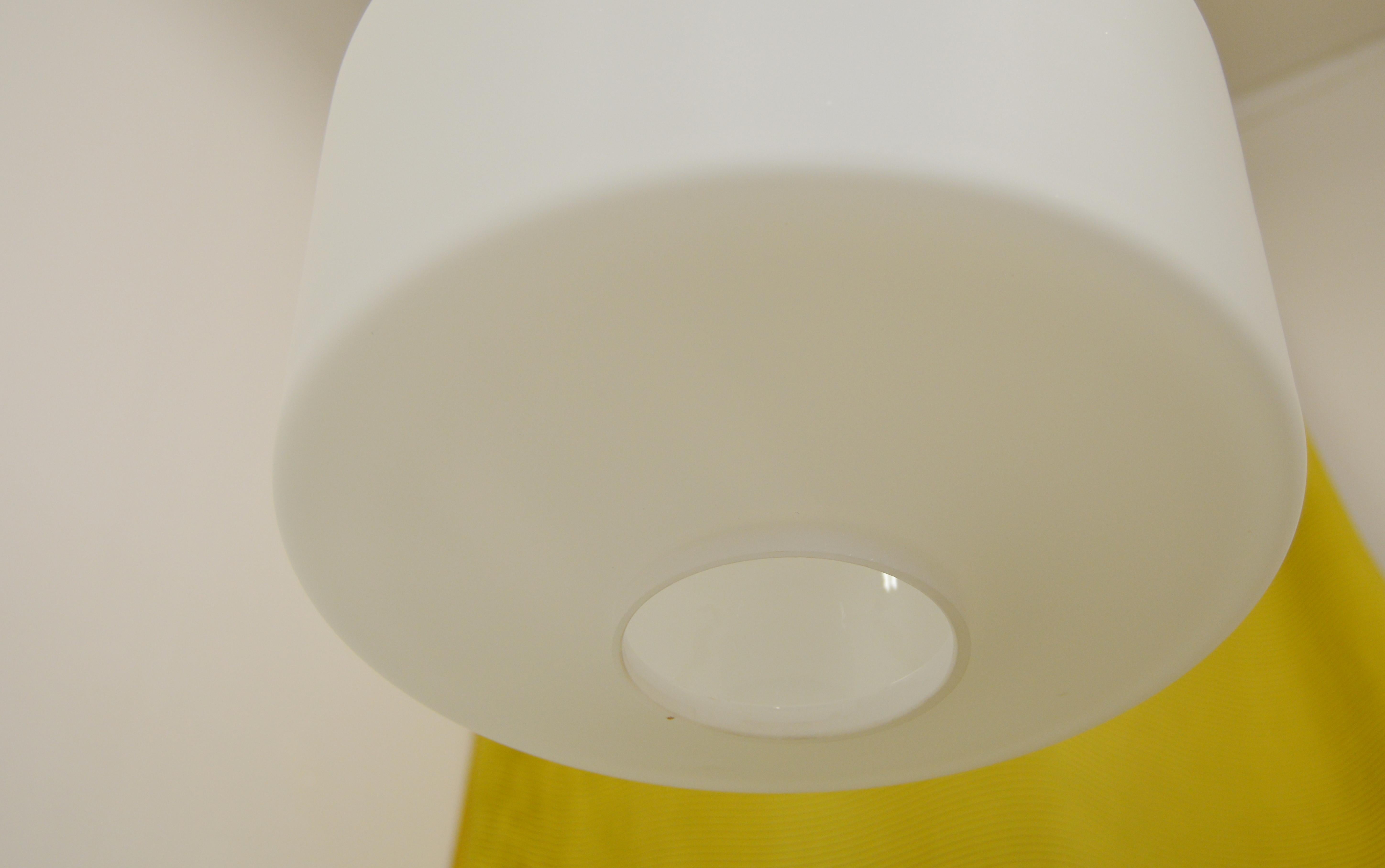 20th Century Large Scandinavian Modern Opaline Glass Ceiling Lamp For Sale